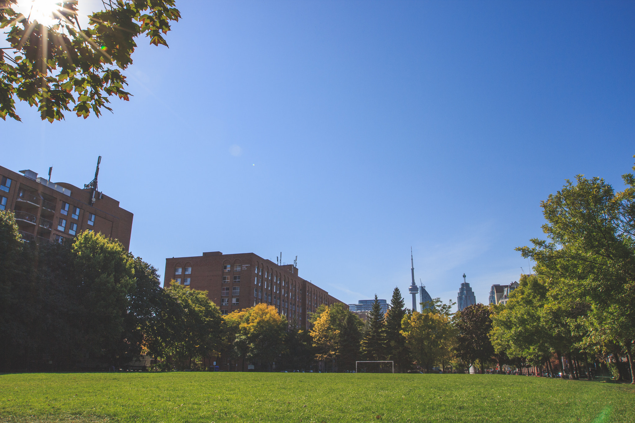 Canon EF 16-35mm F2.8L II USM sample photo. Sunny toronto photography