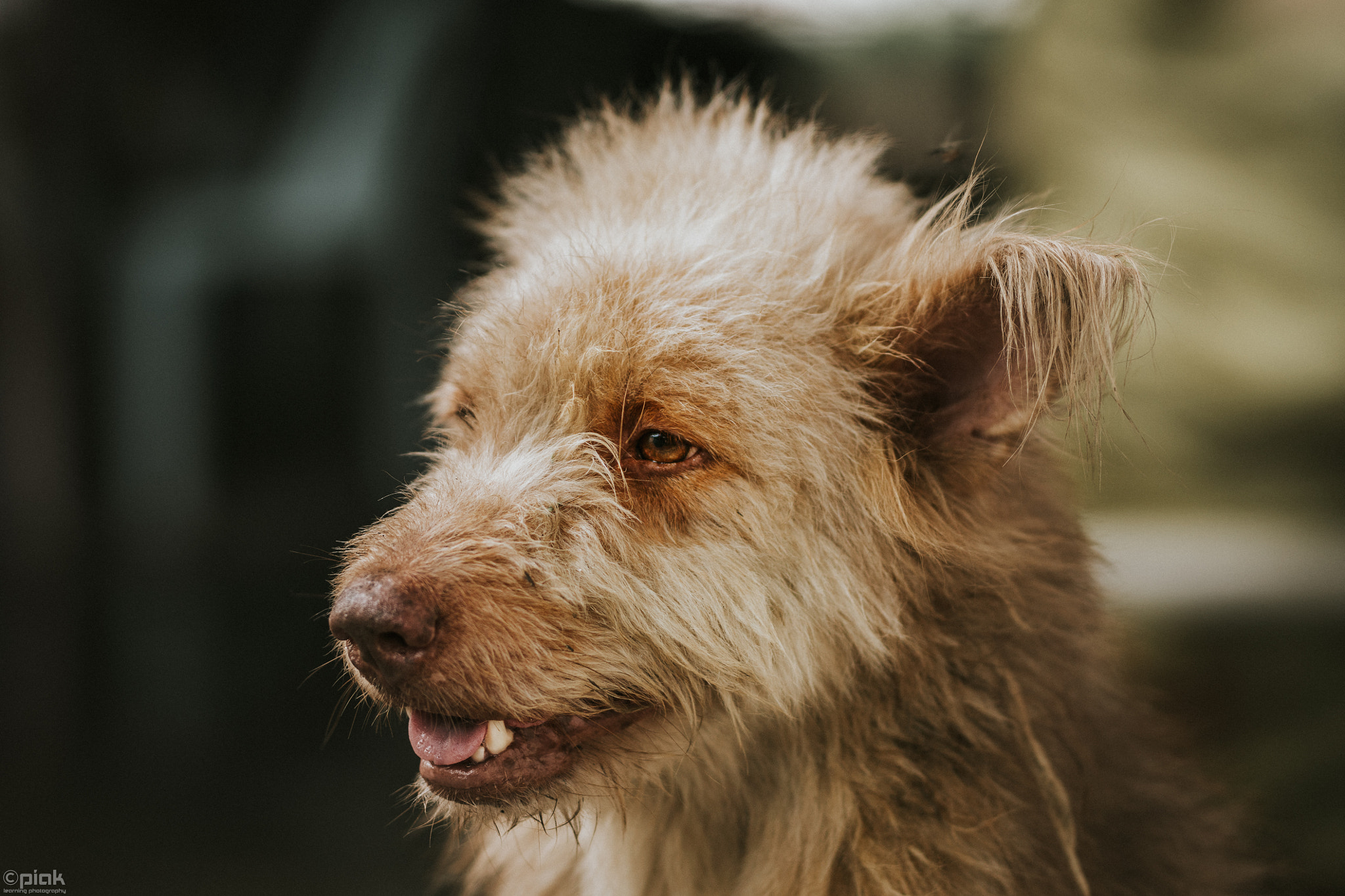 Sony a6500 + Sigma 85mm F1.4 DG HSM Art sample photo. Homeless photography