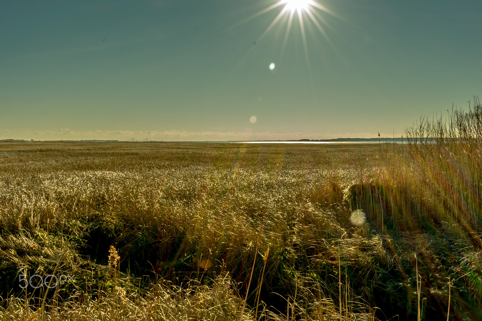 Nikon D3400 sample photo. Sunshine photography
