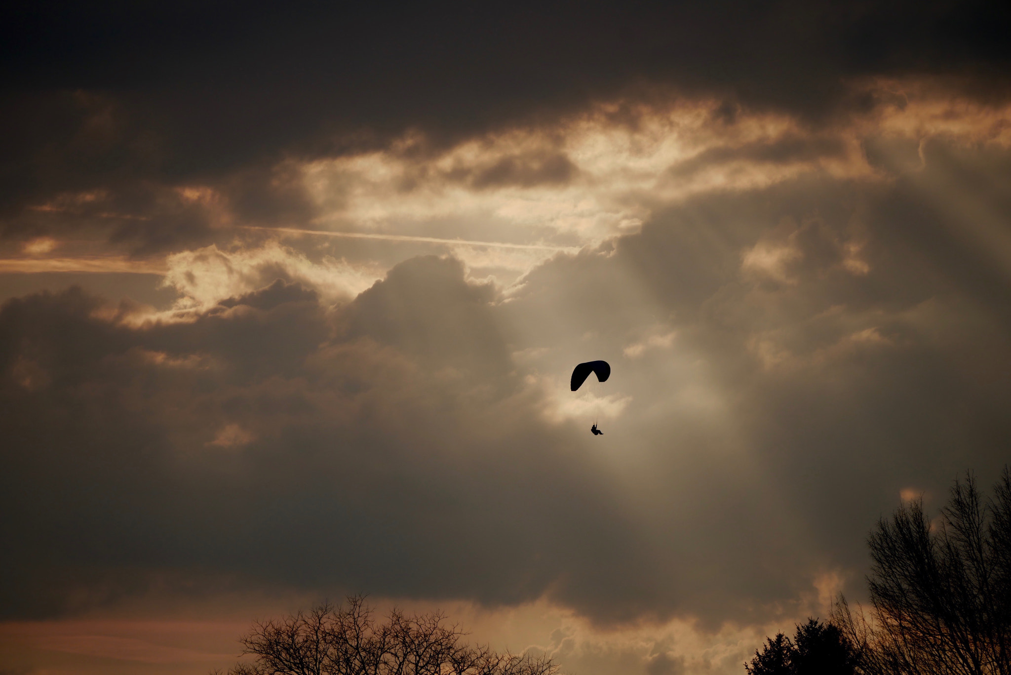 Panasonic Lumix DMC-GX85 (Lumix DMC-GX80 / Lumix DMC-GX7 Mark II) sample photo. Hebelieveshecanfly photography