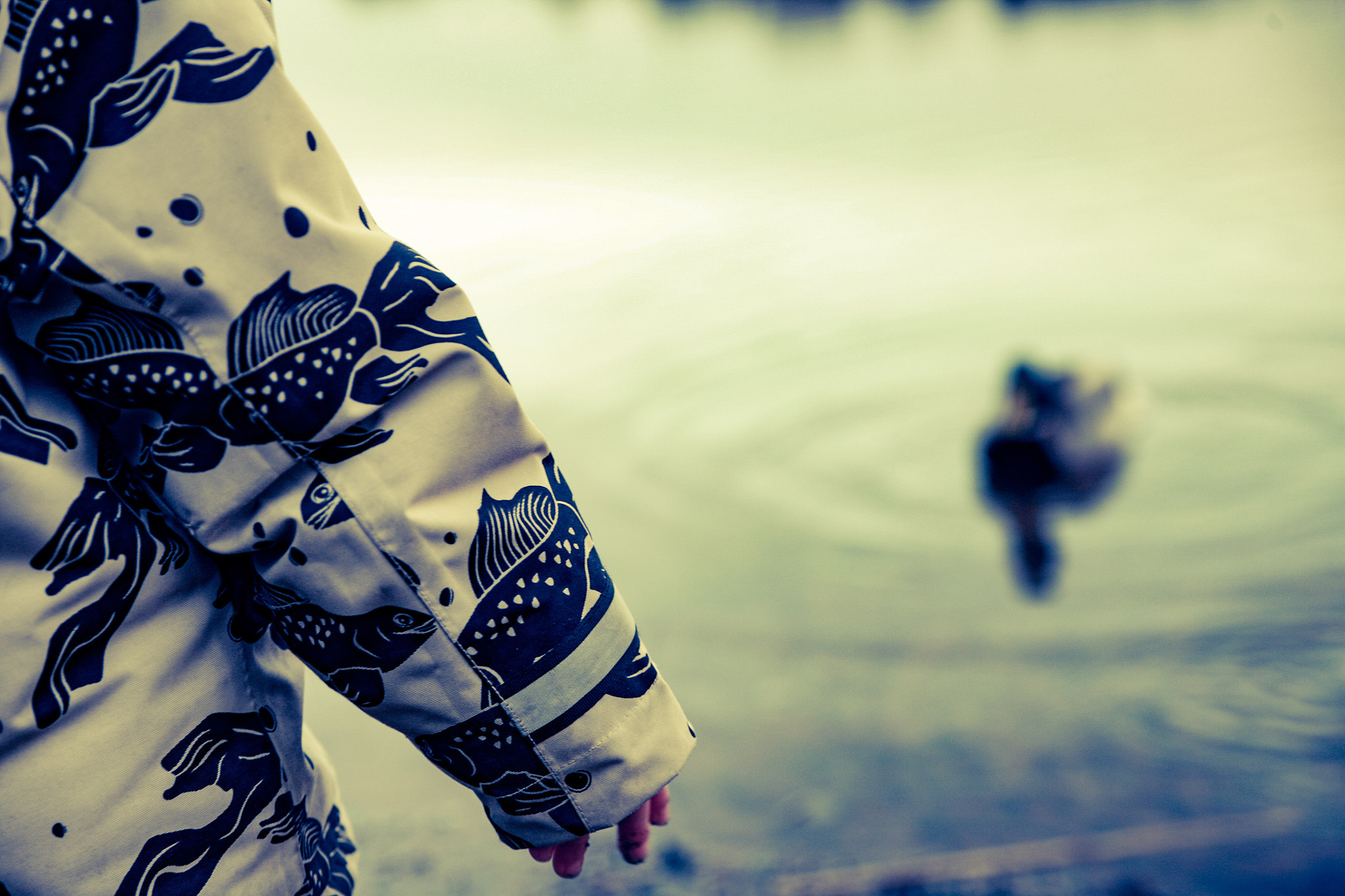 Canon EOS 5D sample photo. Duelling the duck ;) photography