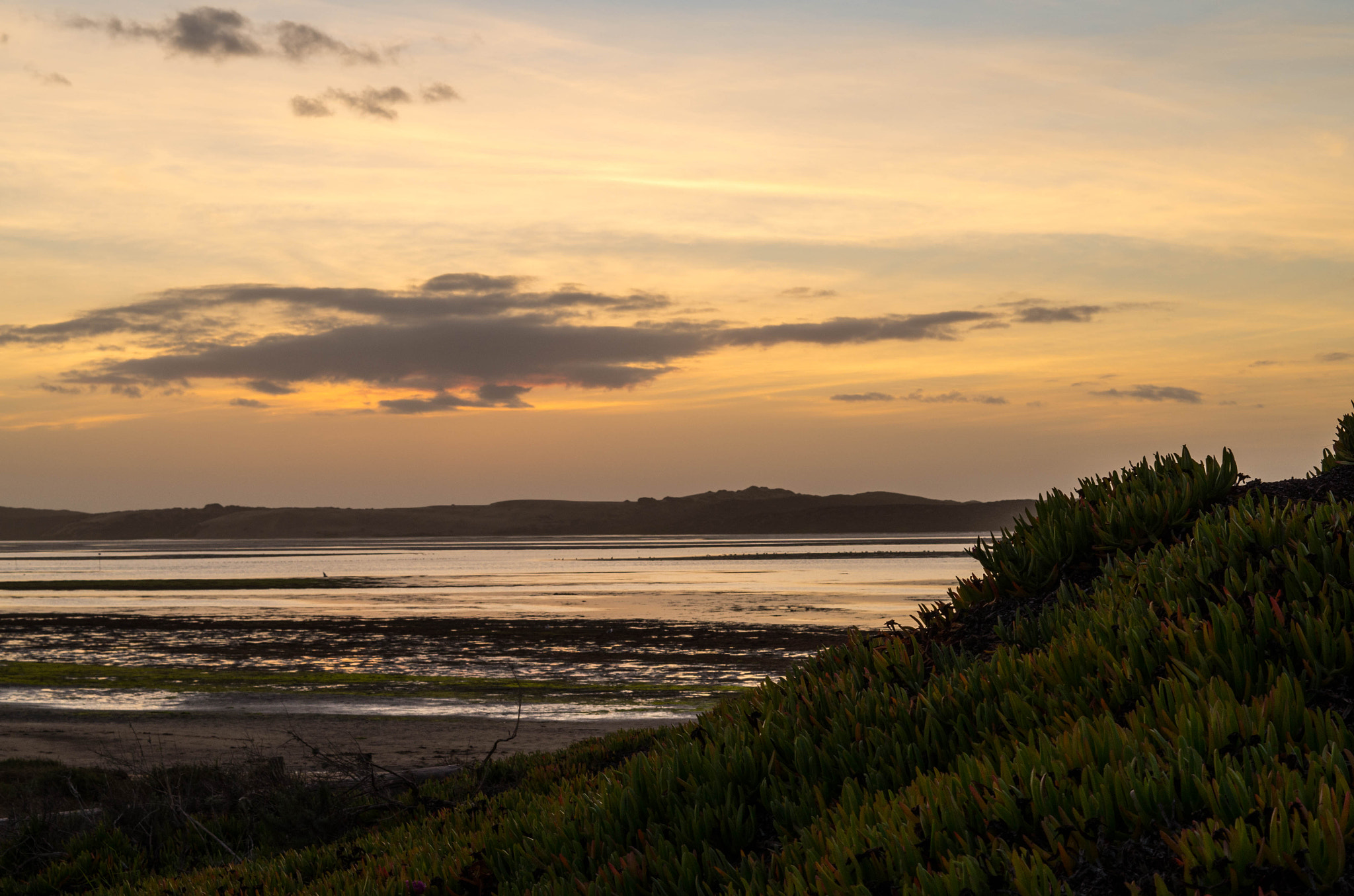 Pentax K-50 + Pentax smc DA 50mm F1.8 sample photo. Bay sunset photography