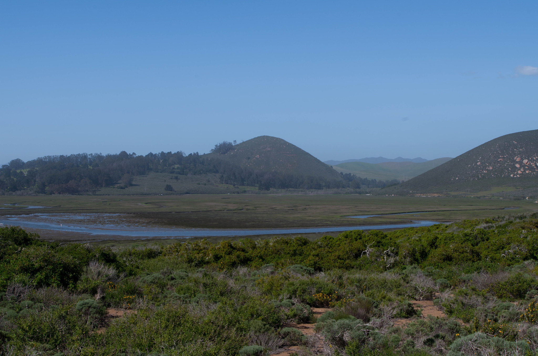 Pentax K-50 sample photo. Marshy river photography