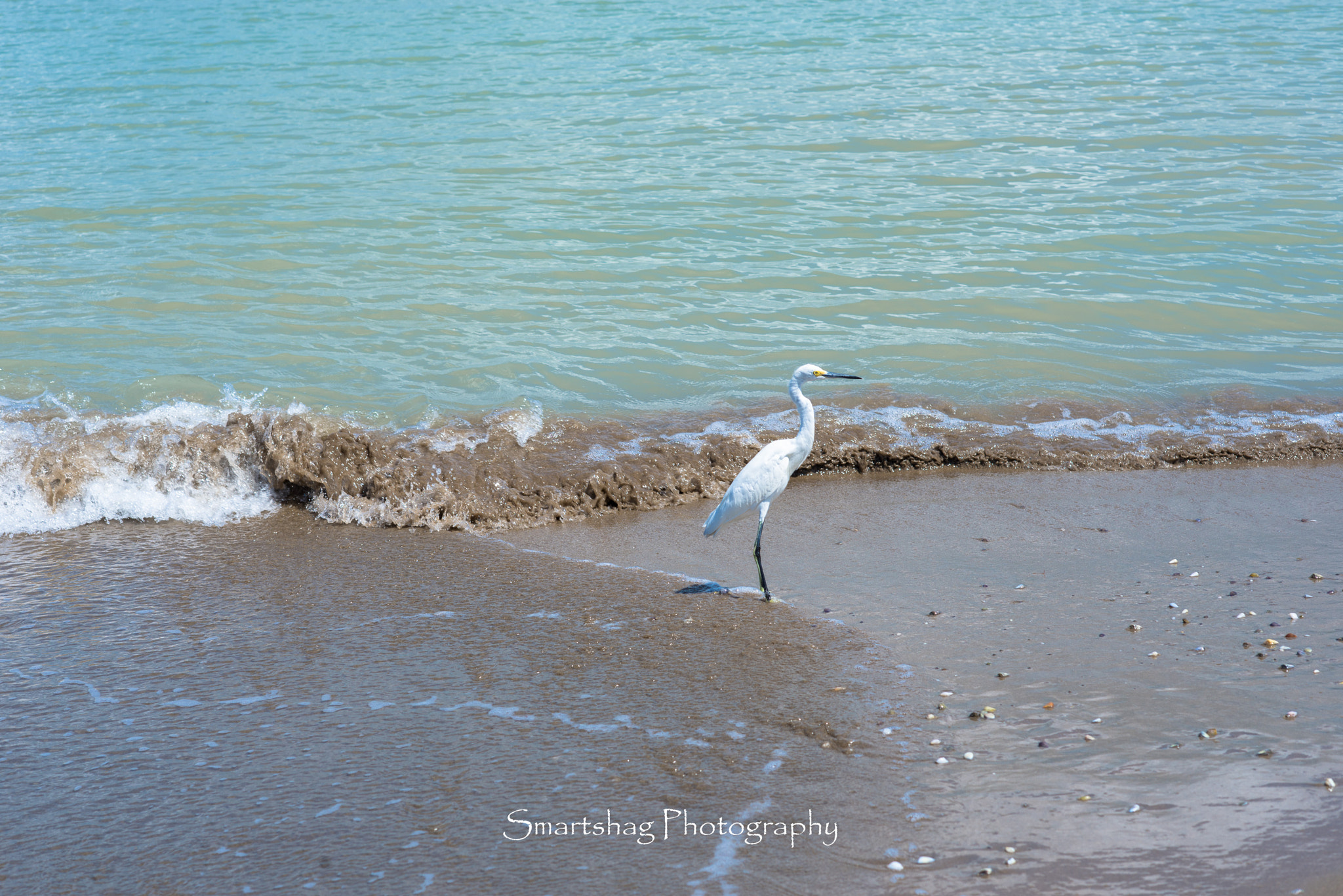 Nikon D610 + Nikon AF-S Nikkor 85mm F1.4G sample photo. On the hunt photography