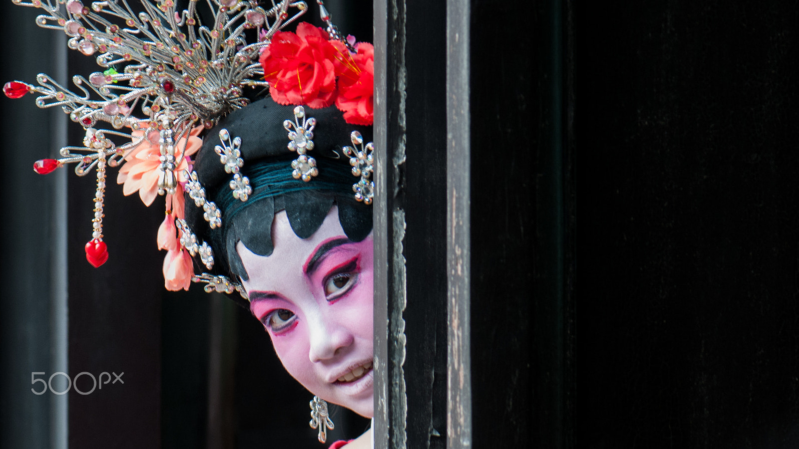 Nikon AF-S Micro-Nikkor 105mm F2.8G IF-ED VR sample photo. Parade photography