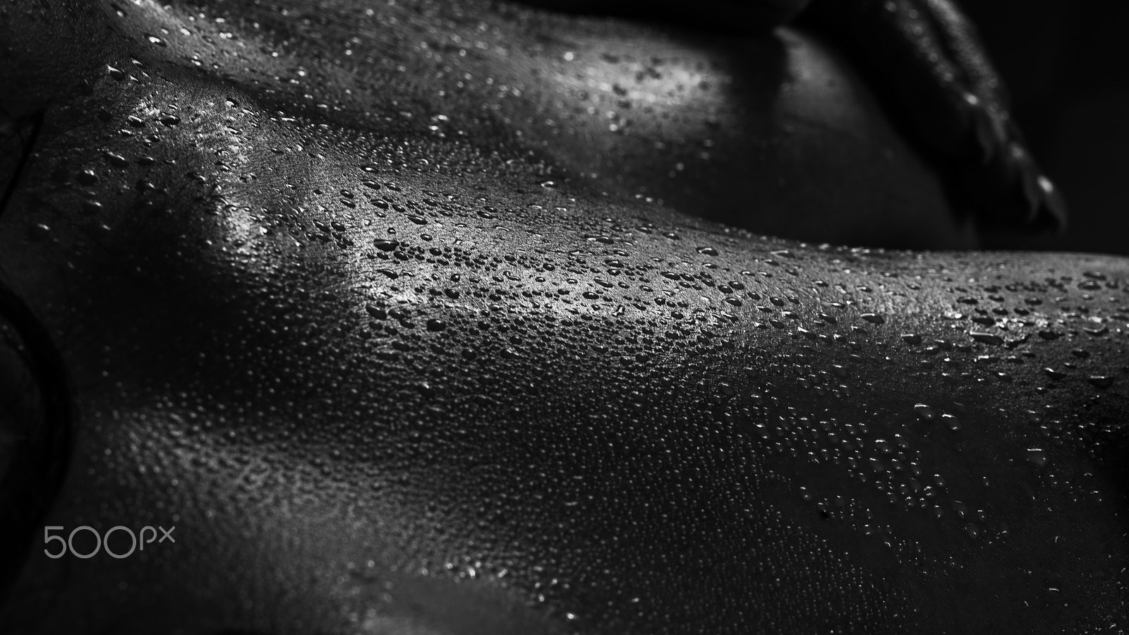 Sigma 50mm F1.4 DG HSM Art sample photo. Wet photography