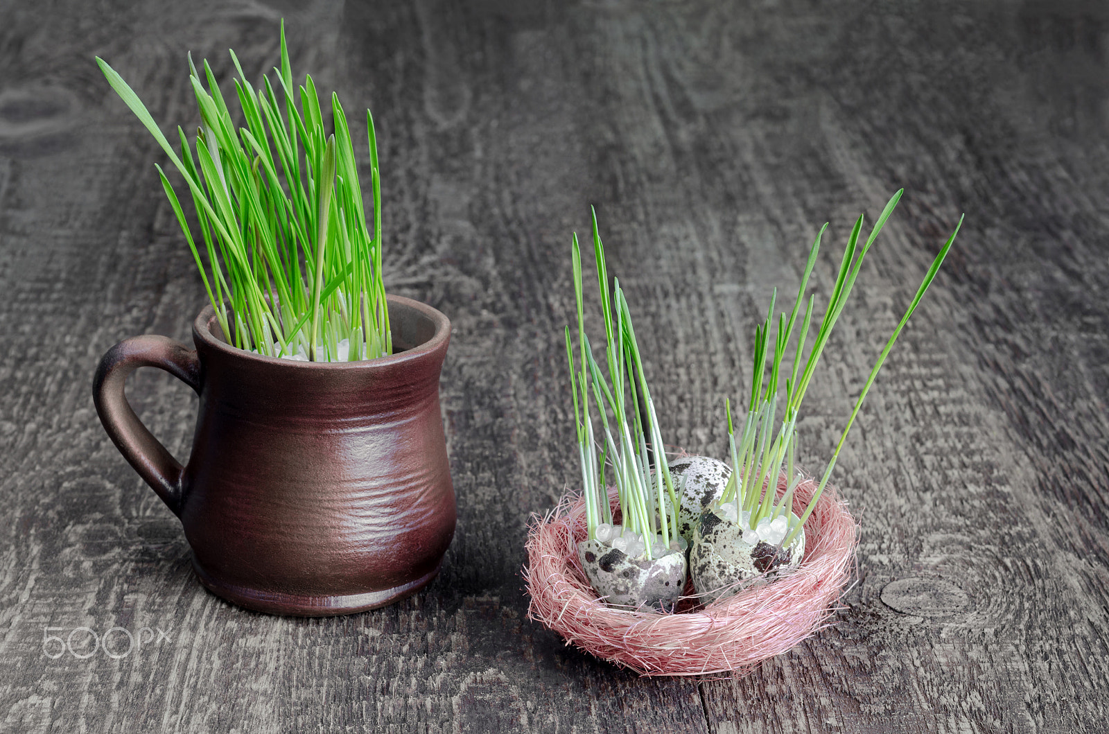 Nikon D7000 + Nikon AF Nikkor 50mm F1.8D sample photo. Green sprouts on wooden background photography