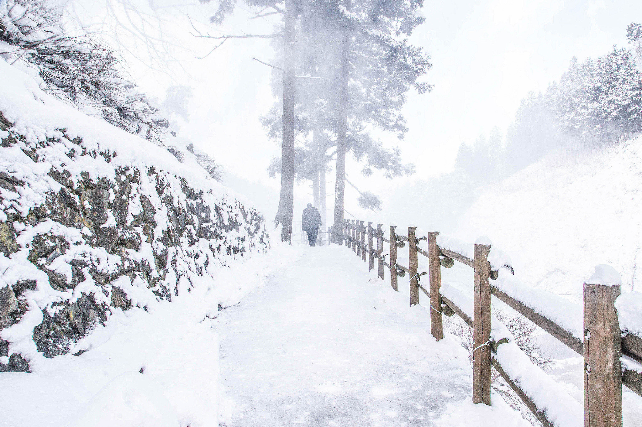 Sony Alpha DSLR-A550 sample photo. Nagano, japan photography