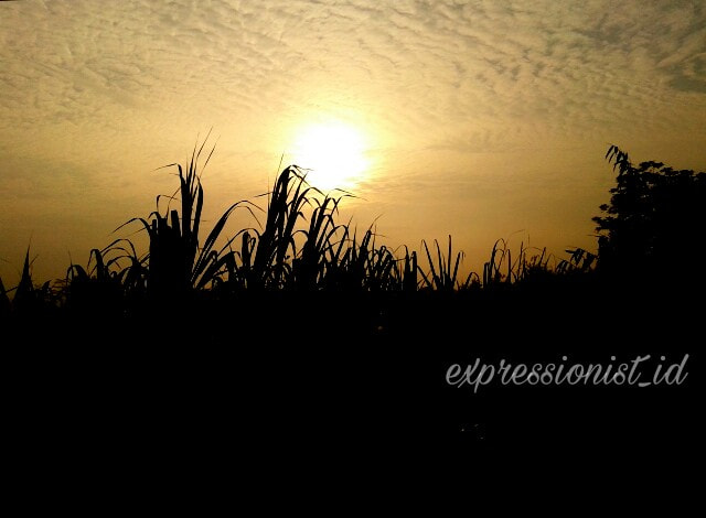 Samsung Galaxy Core sample photo. Sun photography