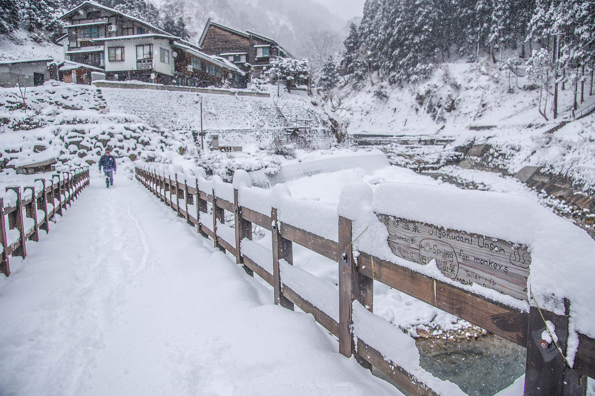 Sony Alpha DSLR-A550 + Sony DT 16-105mm F3.5-5.6 sample photo. Nagano, japan photography