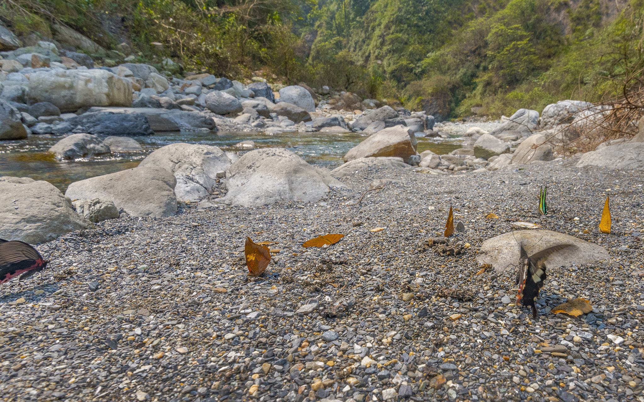Nikon AF-S Nikkor 16-35mm F4G ED VR sample photo. Dsc photography