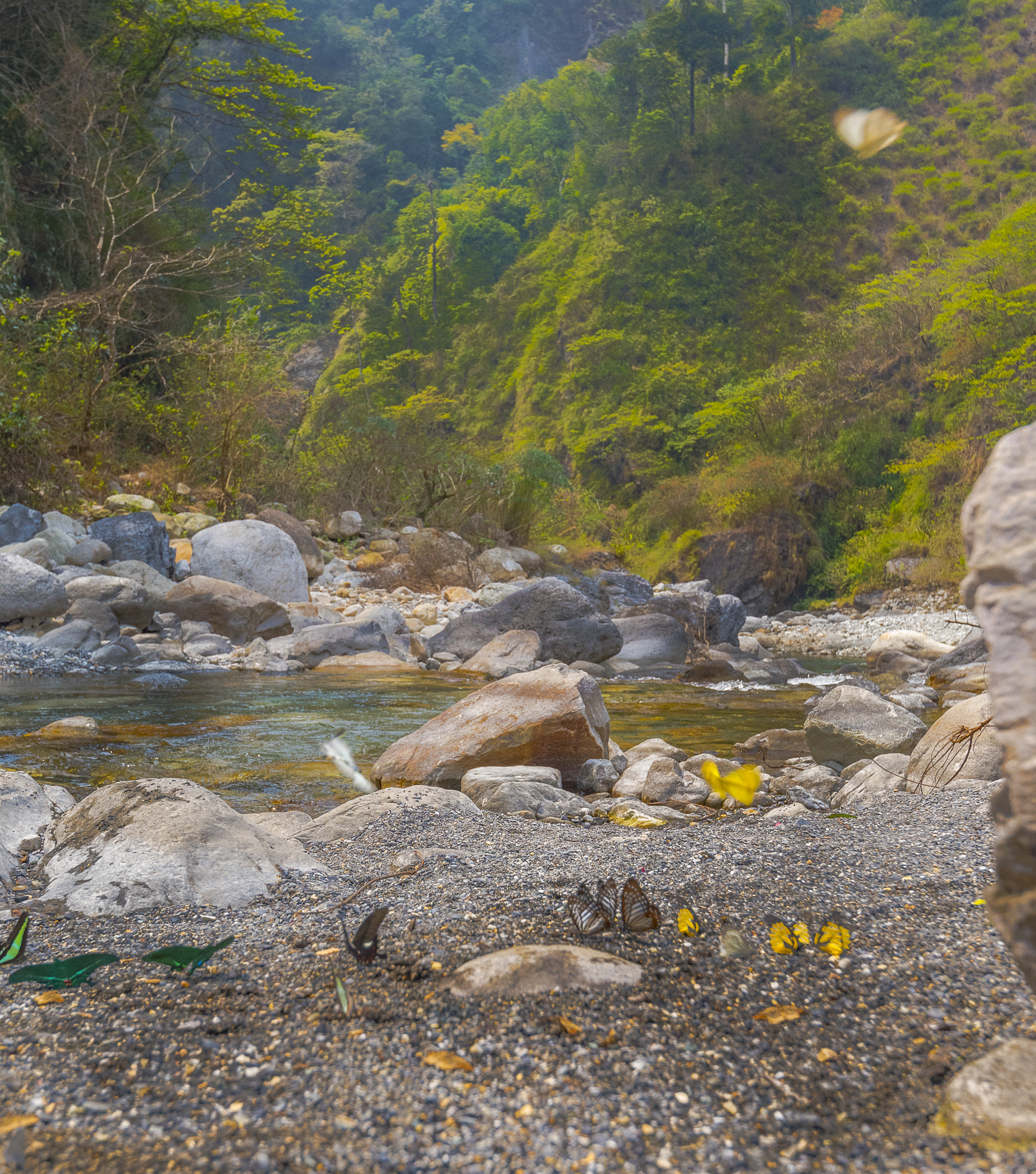 Nikon AF-S Nikkor 16-35mm F4G ED VR sample photo. Dsc photography