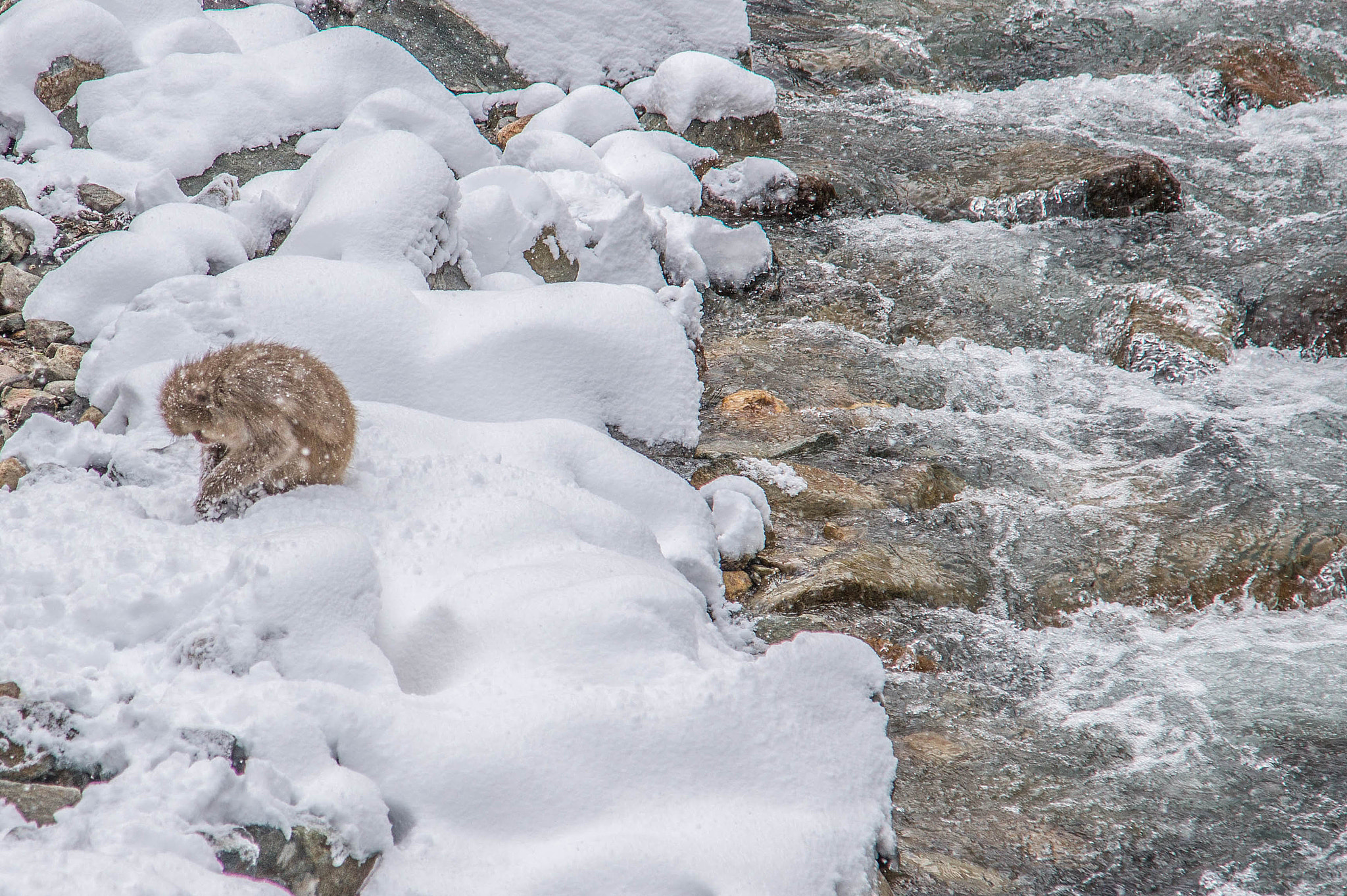 Sony Alpha DSLR-A550 + Sony DT 16-105mm F3.5-5.6 sample photo. Nagano, japan photography