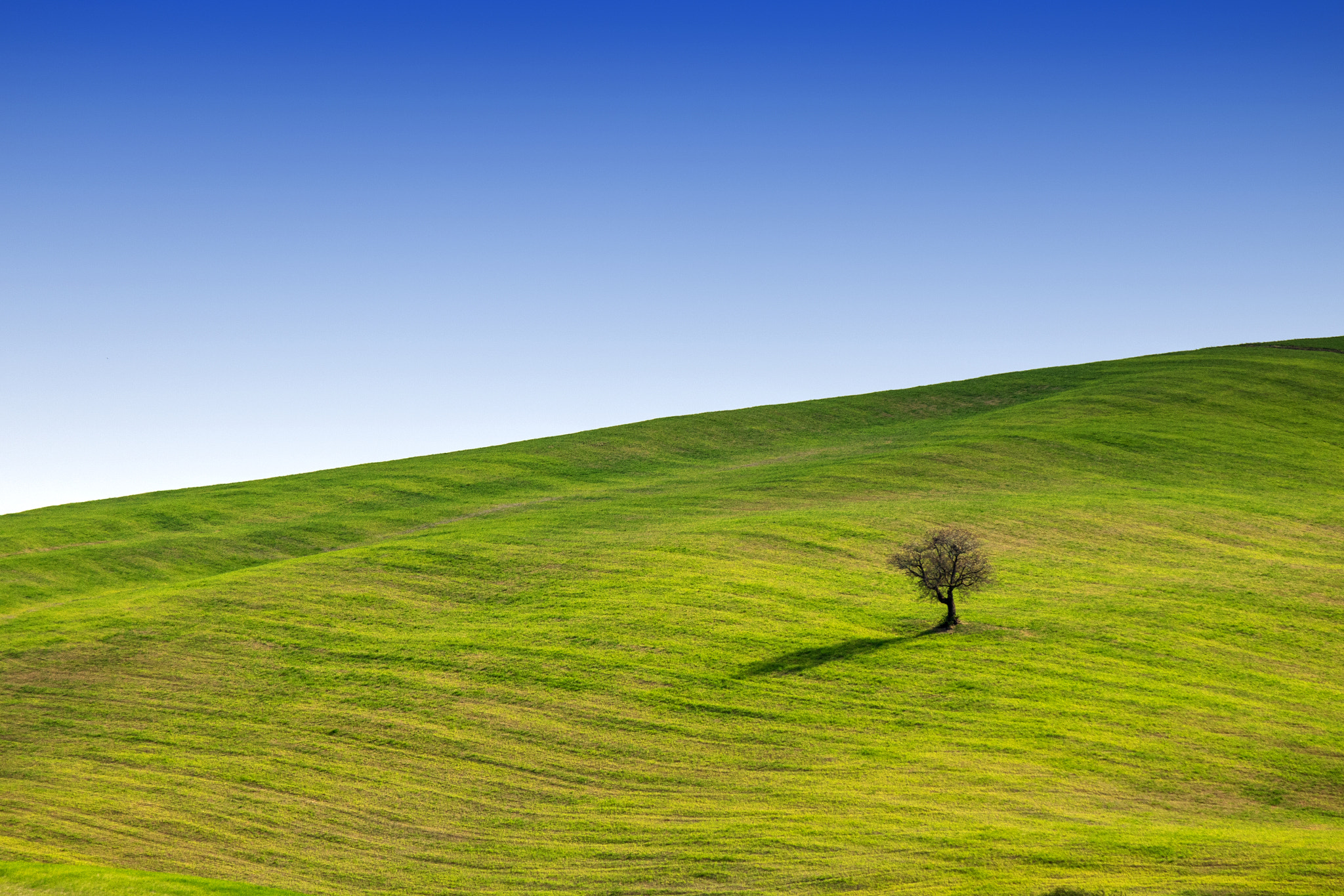Canon EOS 760D (EOS Rebel T6s / EOS 8000D) sample photo. Val d'orcia photography