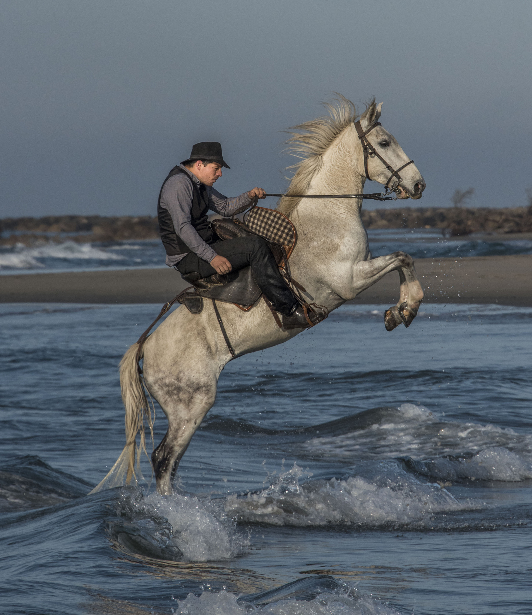 Nikon D810 sample photo. 33744262465.jpg photography