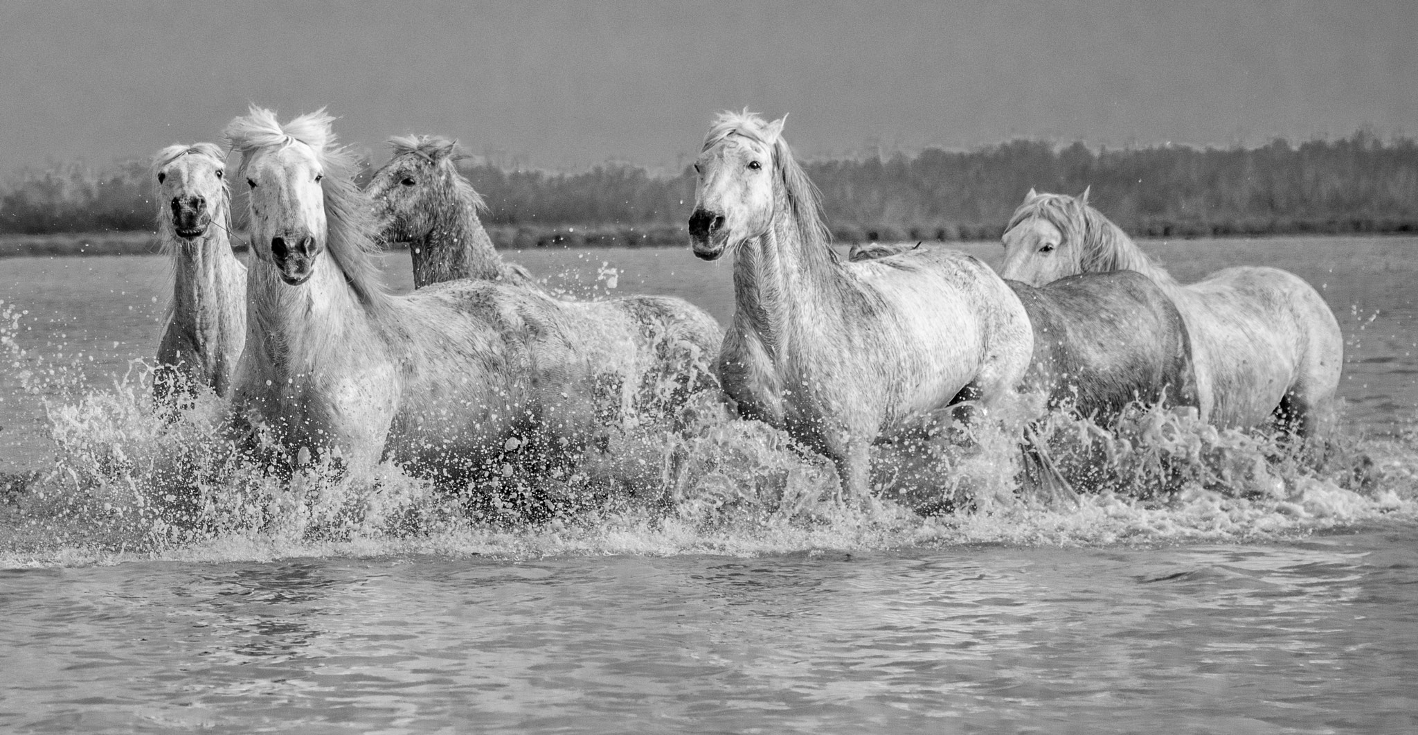 Nikon D810 sample photo. 33587344972.jpg photography