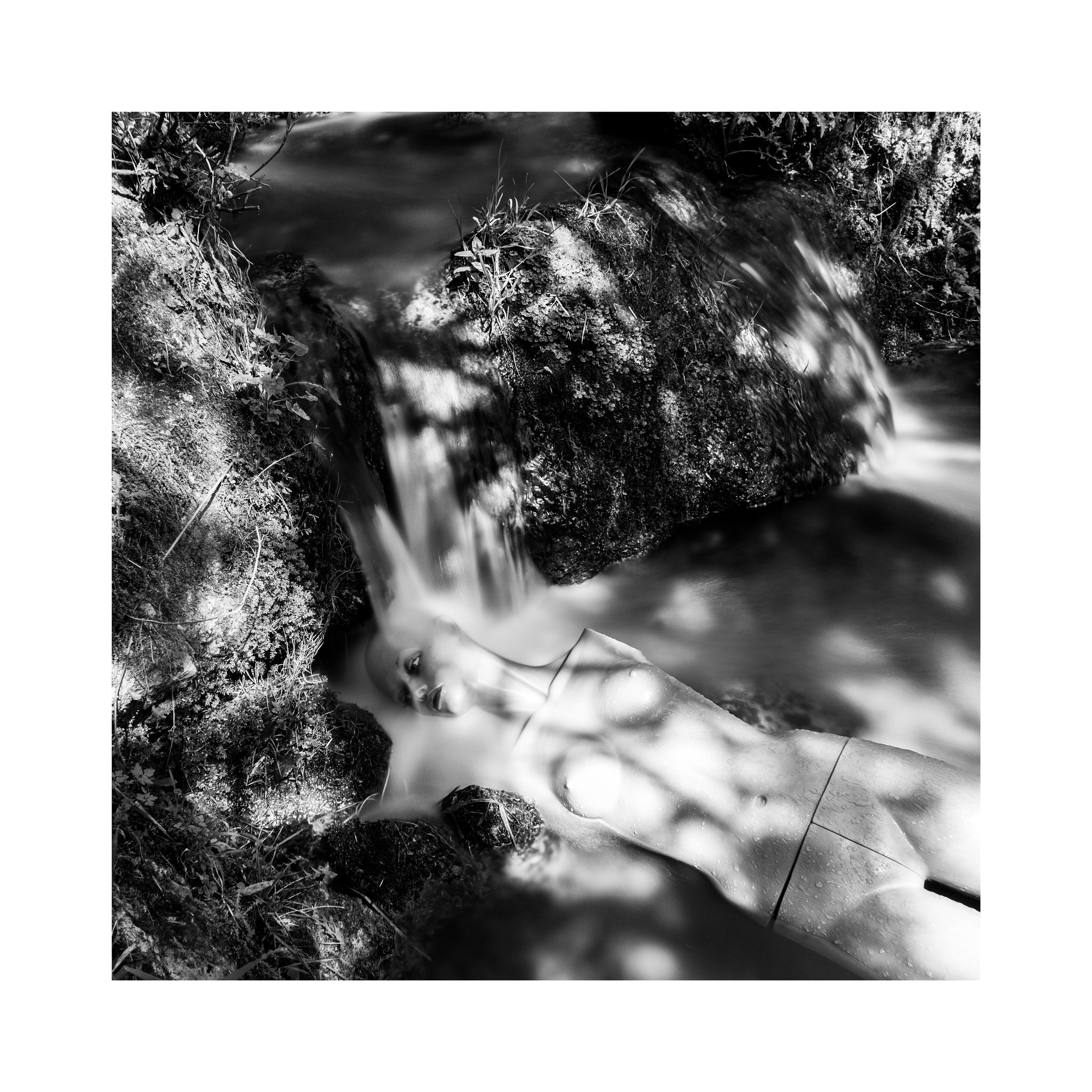 Olympus PEN-F sample photo. “morte di una potameide” photography