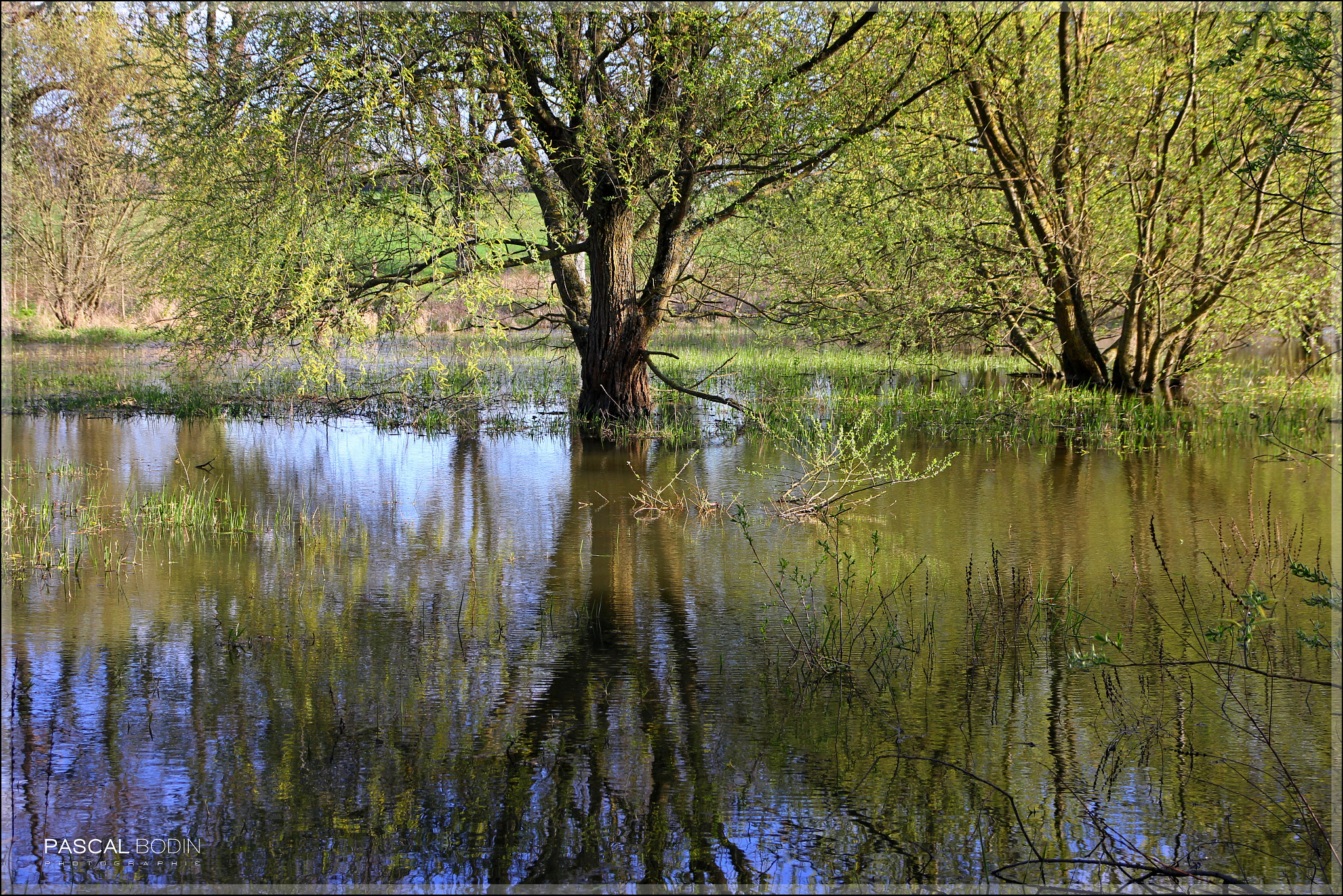 Canon EOS 60D sample photo. Les pieds dans l'eau photography