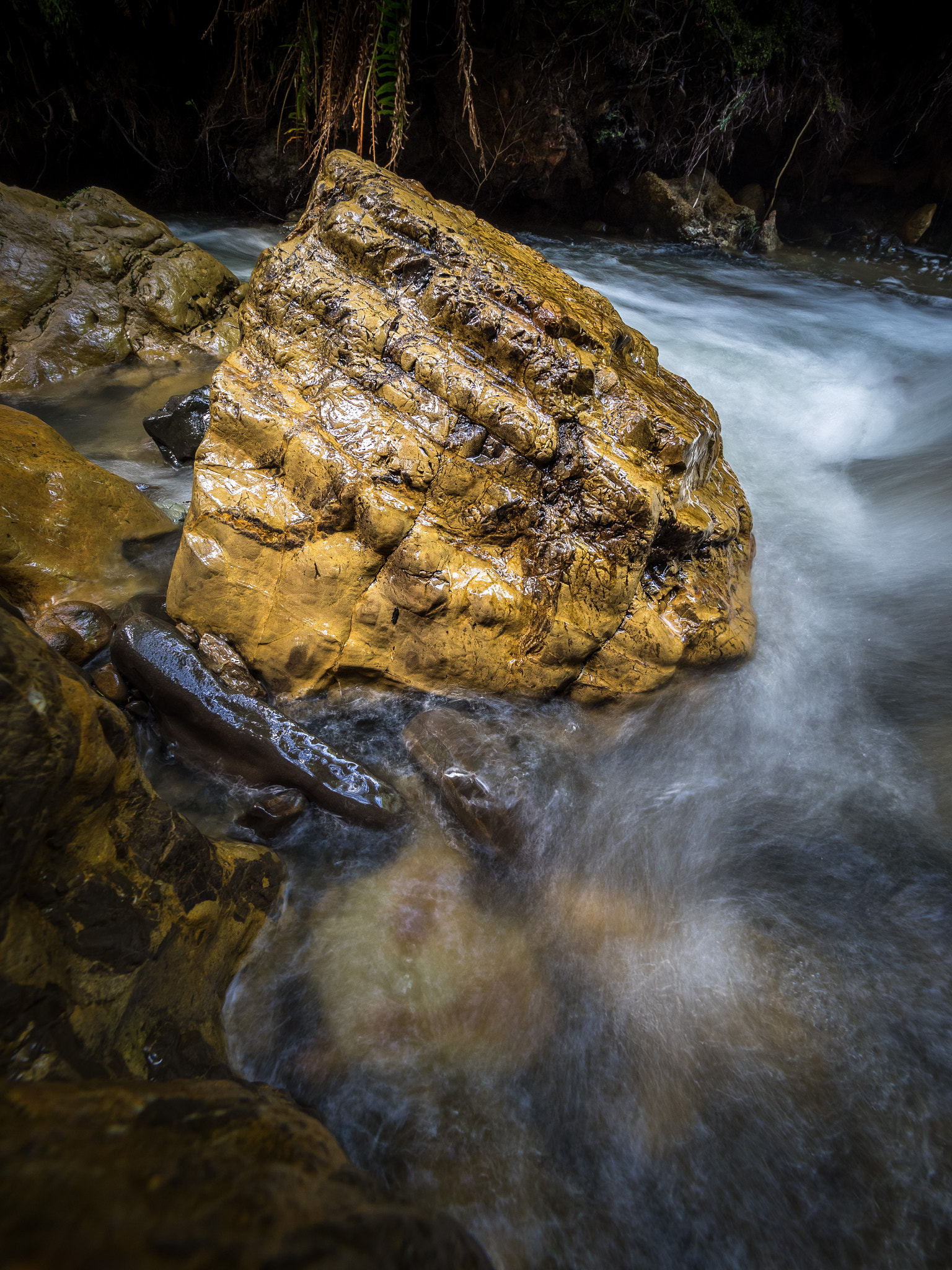 Olympus M.Zuiko Digital ED 7-14mm F2.8 PRO sample photo. #374 photography