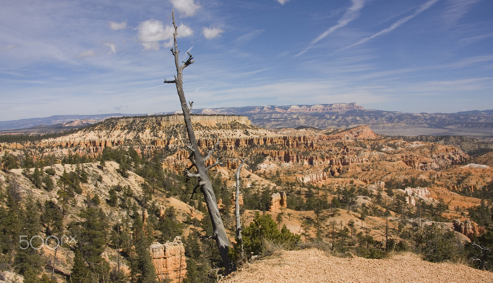 Canon EOS 450D (EOS Rebel XSi / EOS Kiss X2) sample photo. Bryce canyon photography