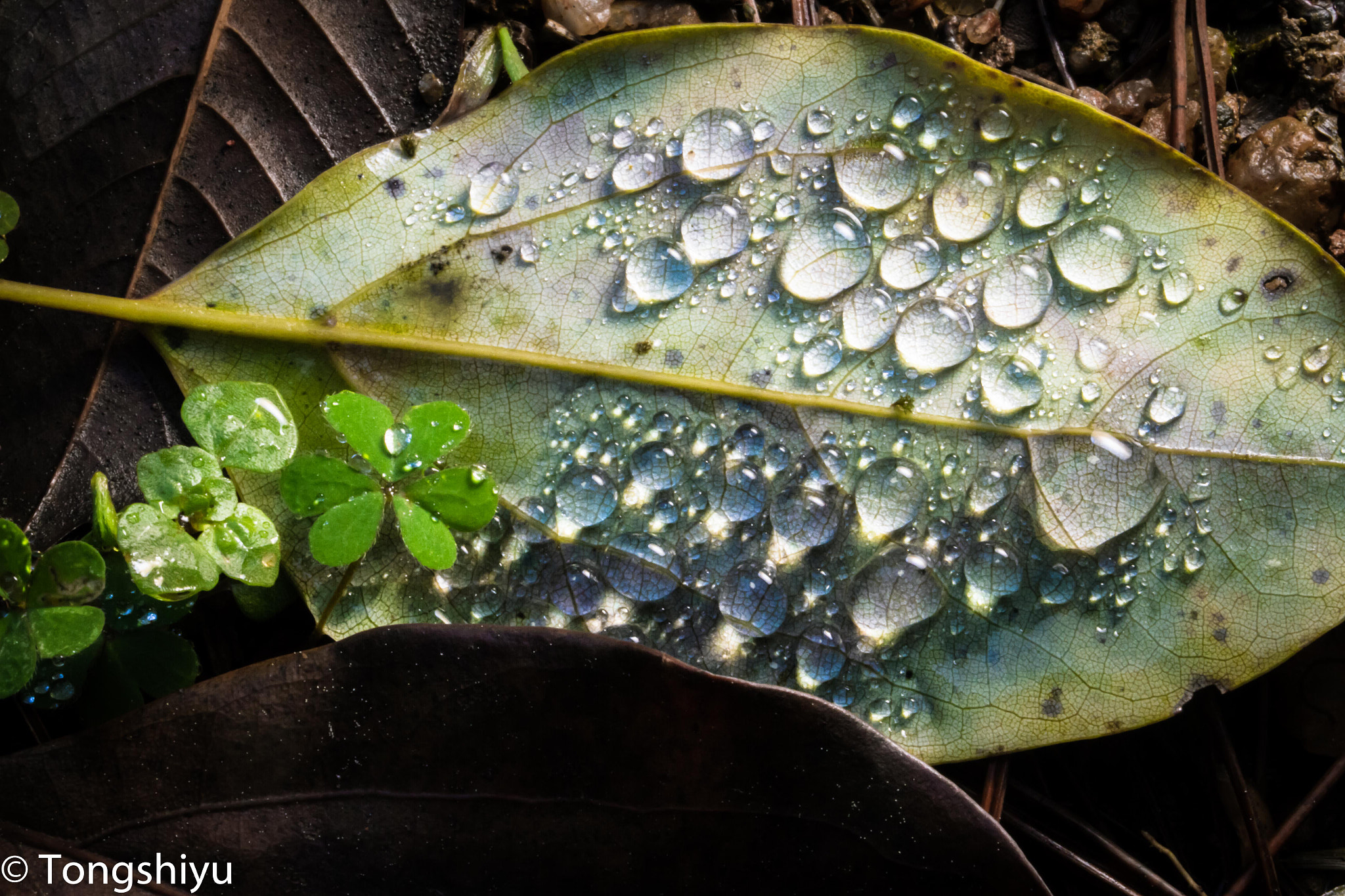 Canon EF 35-80mm f/4-5.6 sample photo. Morning photography