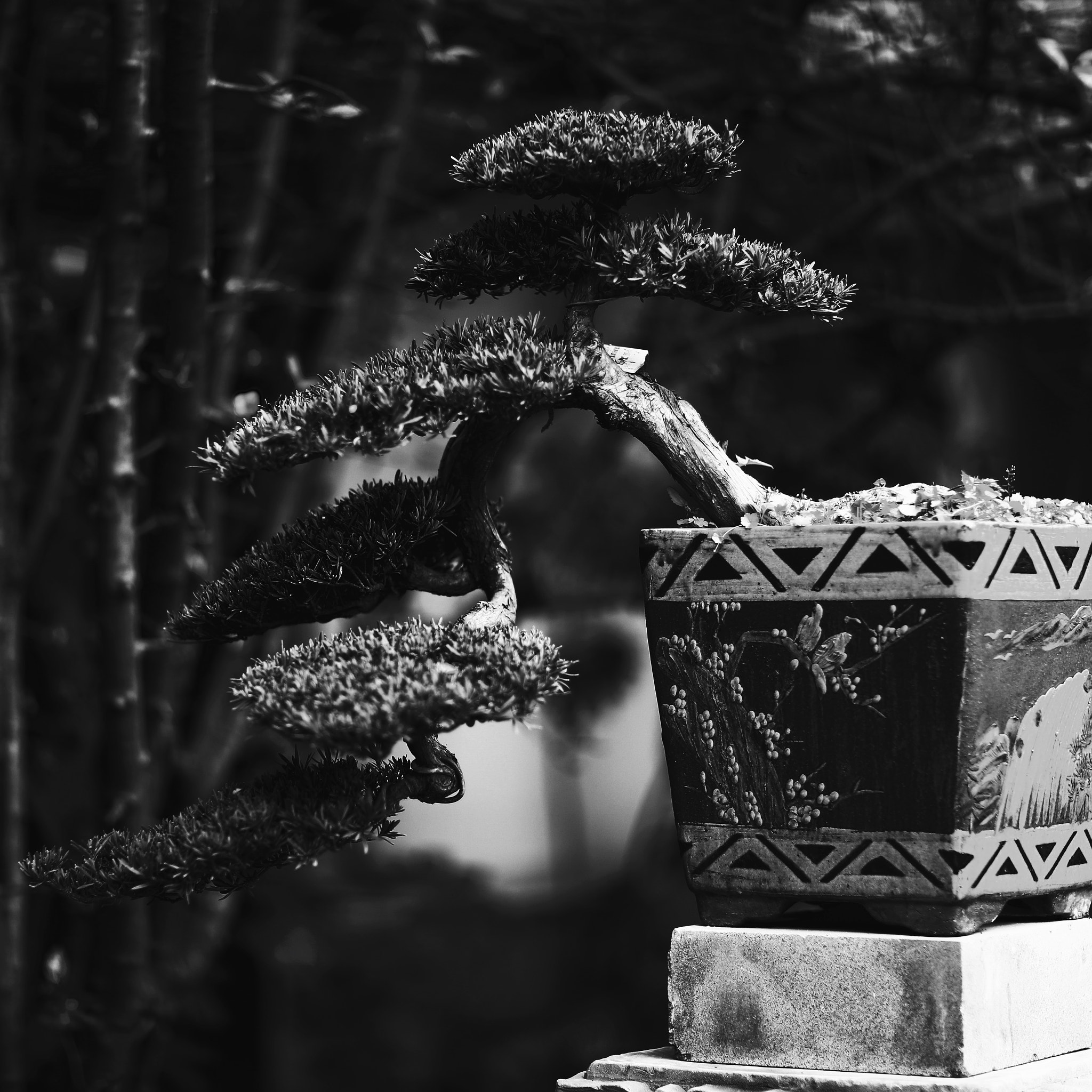 Canon EF 85mm F1.2L II USM sample photo