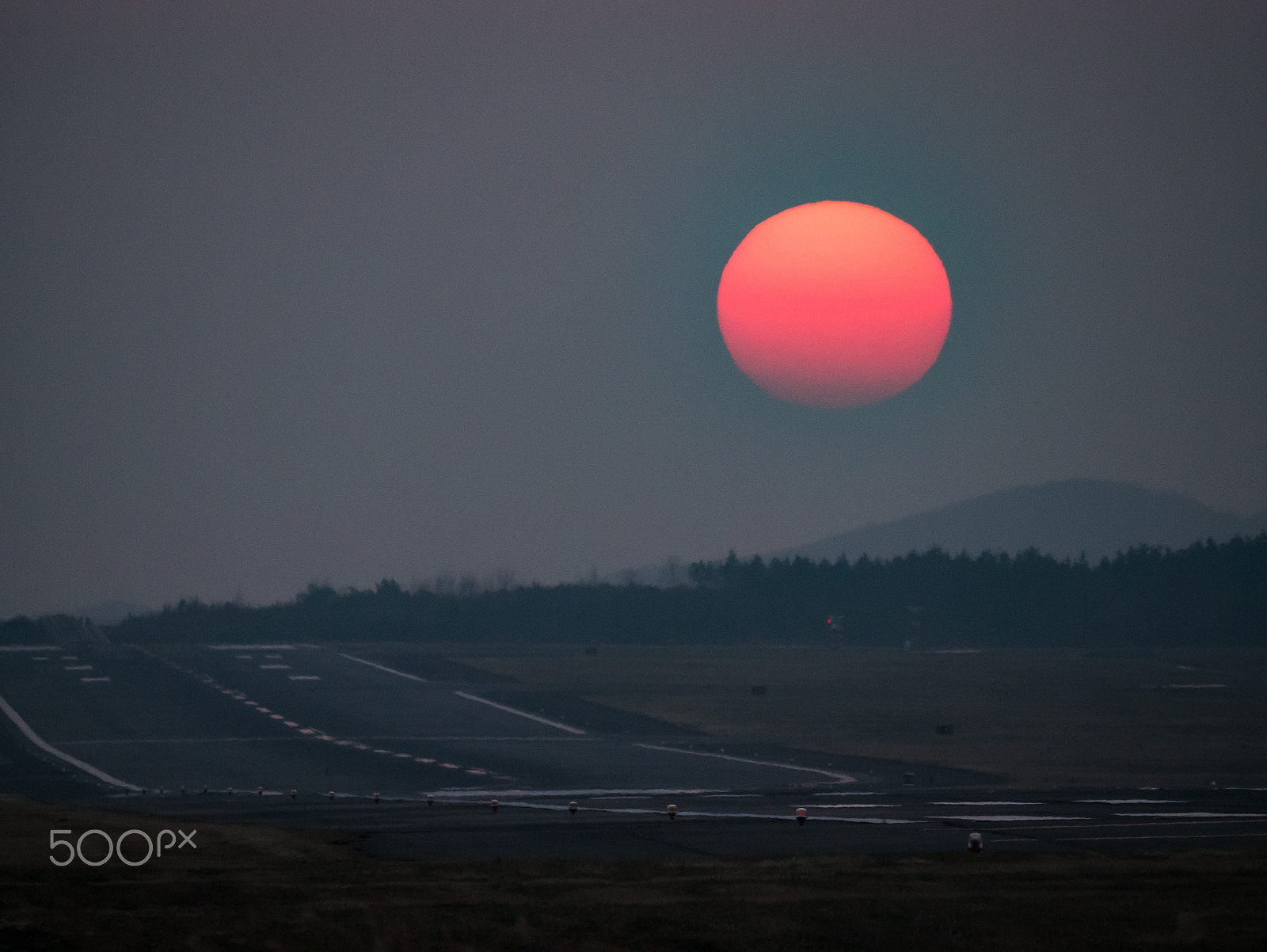 LEICA DG 100-400/F4.0-6.3 sample photo. Good luck or bad luck photography