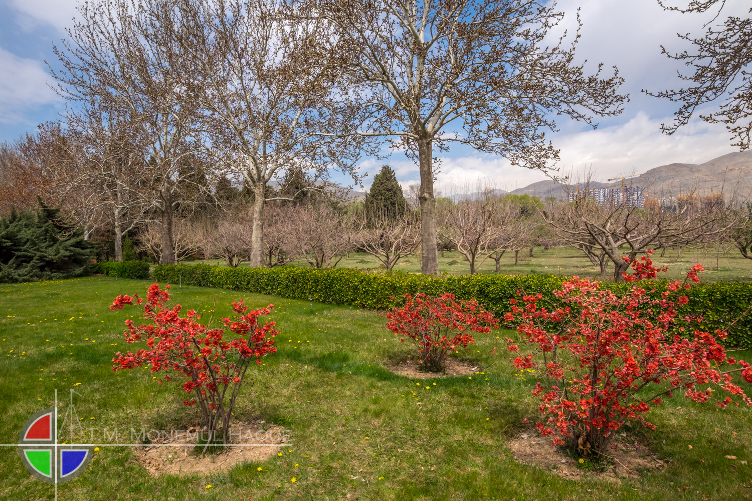 Fujifilm XF 10-24mm F4 R OIS sample photo. Botanical garden photography
