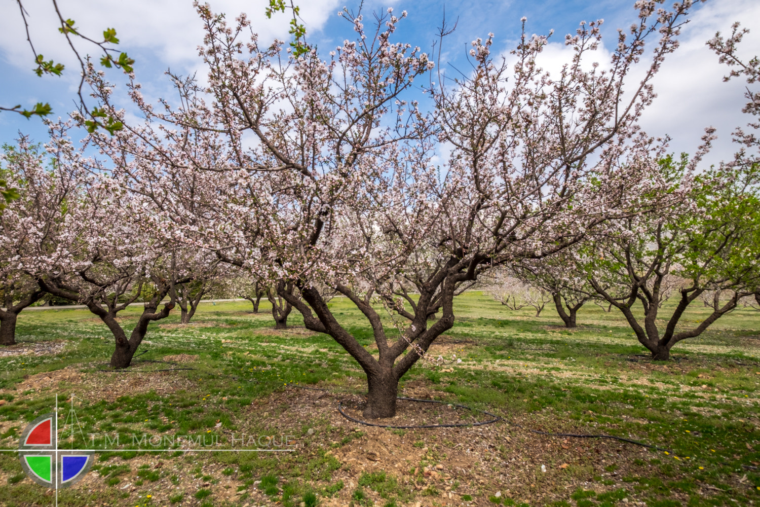 Fujifilm XF 10-24mm F4 R OIS sample photo. Botanical garden photography