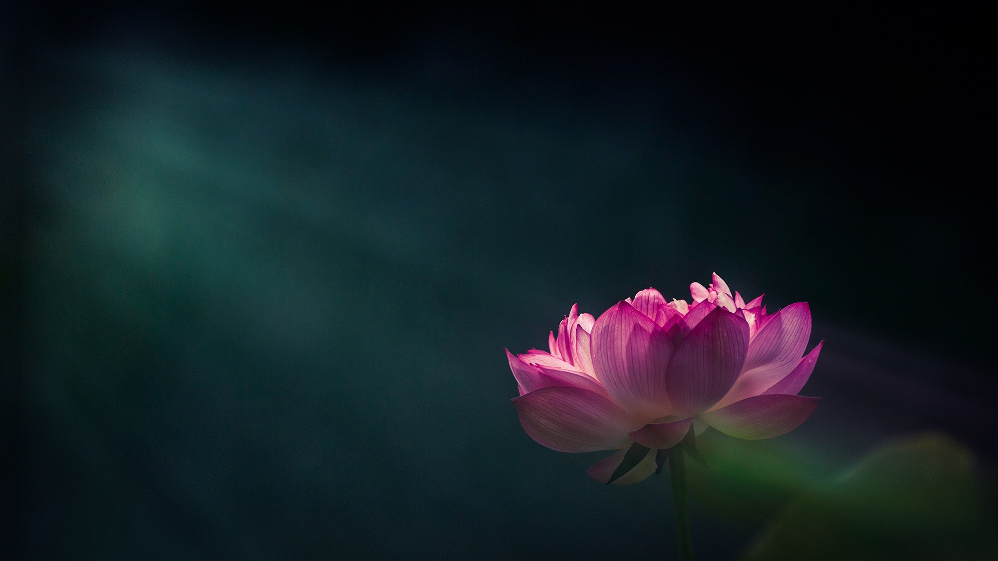 Canon EF 70-200mm F2.8L IS II USM sample photo