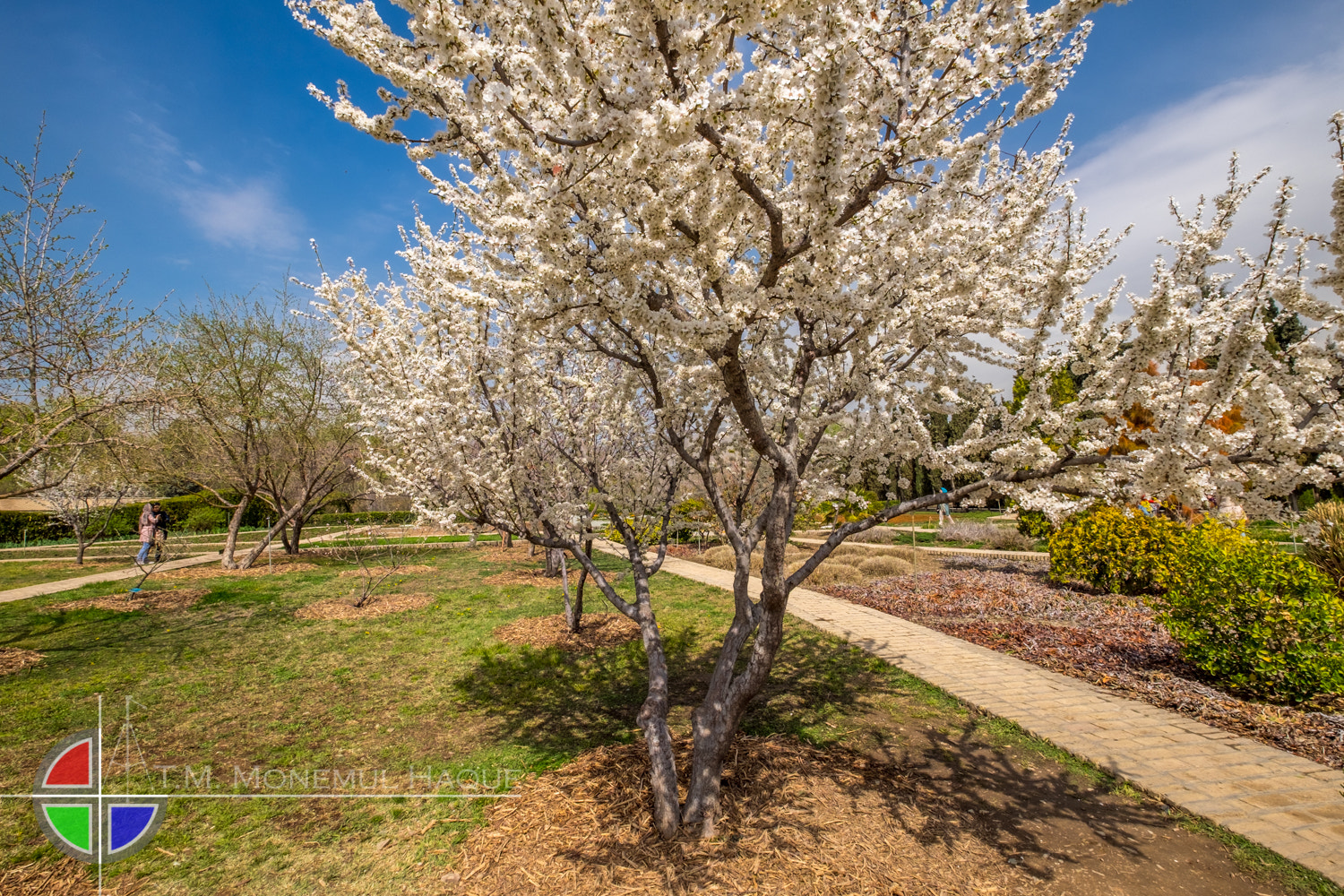 Fujifilm XF 10-24mm F4 R OIS sample photo. Botanical garden photography