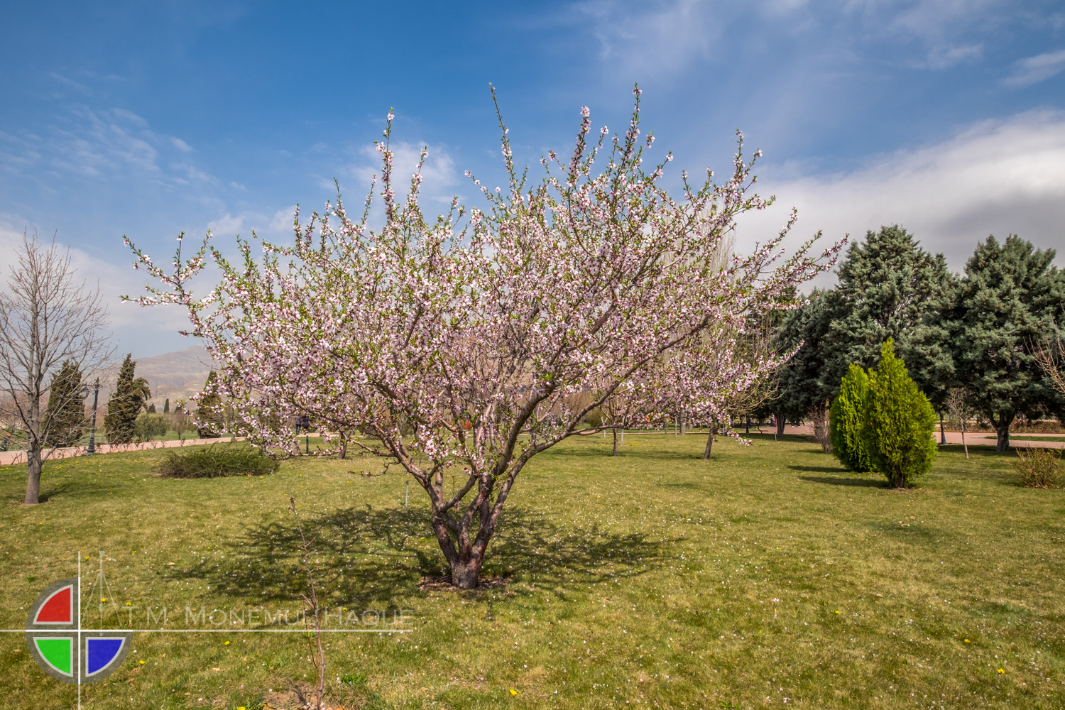 Fujifilm XF 10-24mm F4 R OIS sample photo. Botanical garden photography
