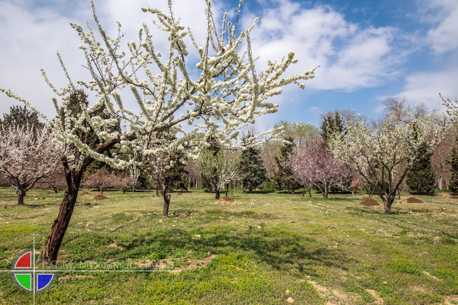 Fujifilm XF 10-24mm F4 R OIS sample photo. Botanical garden photography