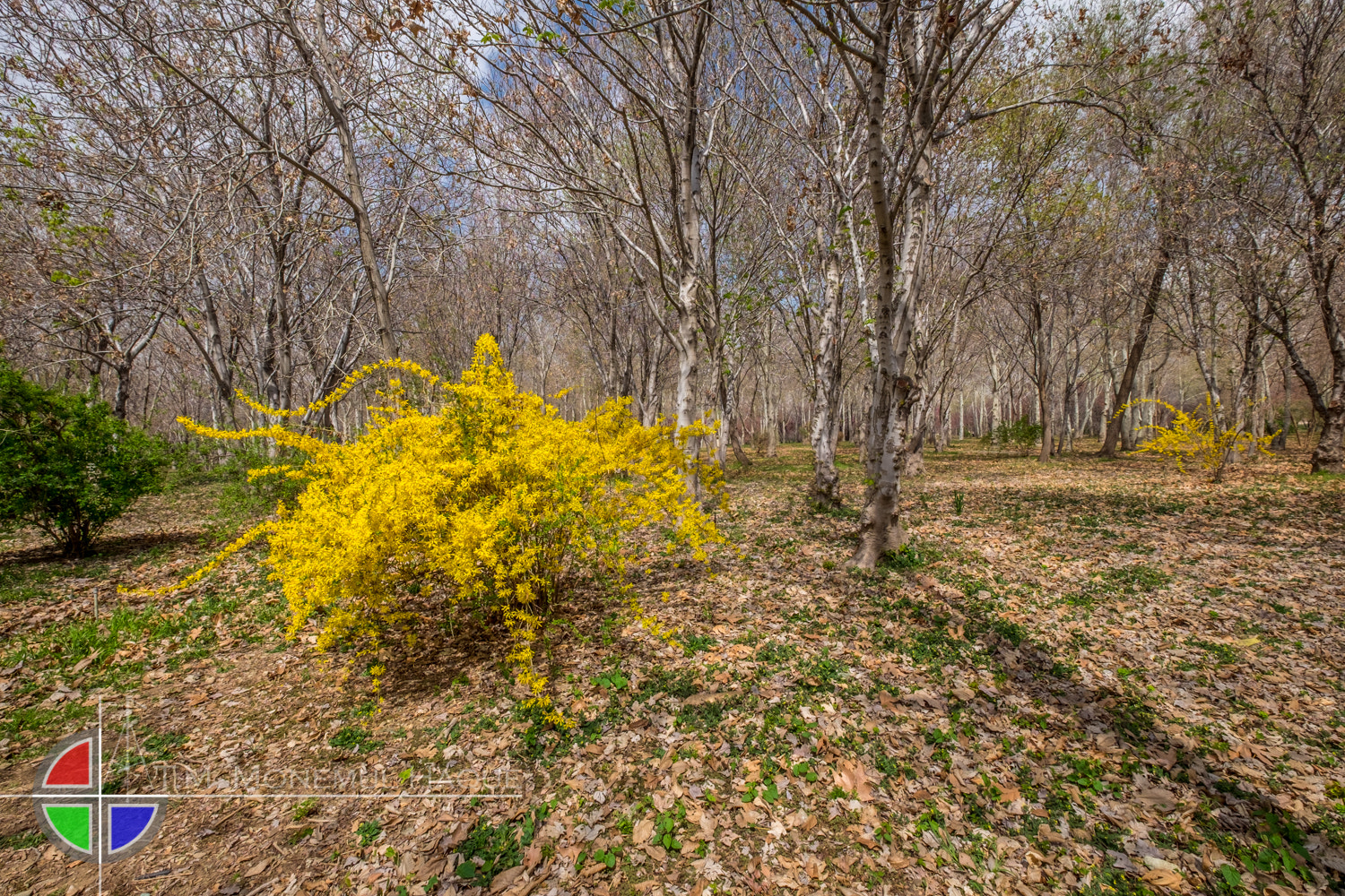 Fujifilm XF 10-24mm F4 R OIS sample photo. Botanical garden photography