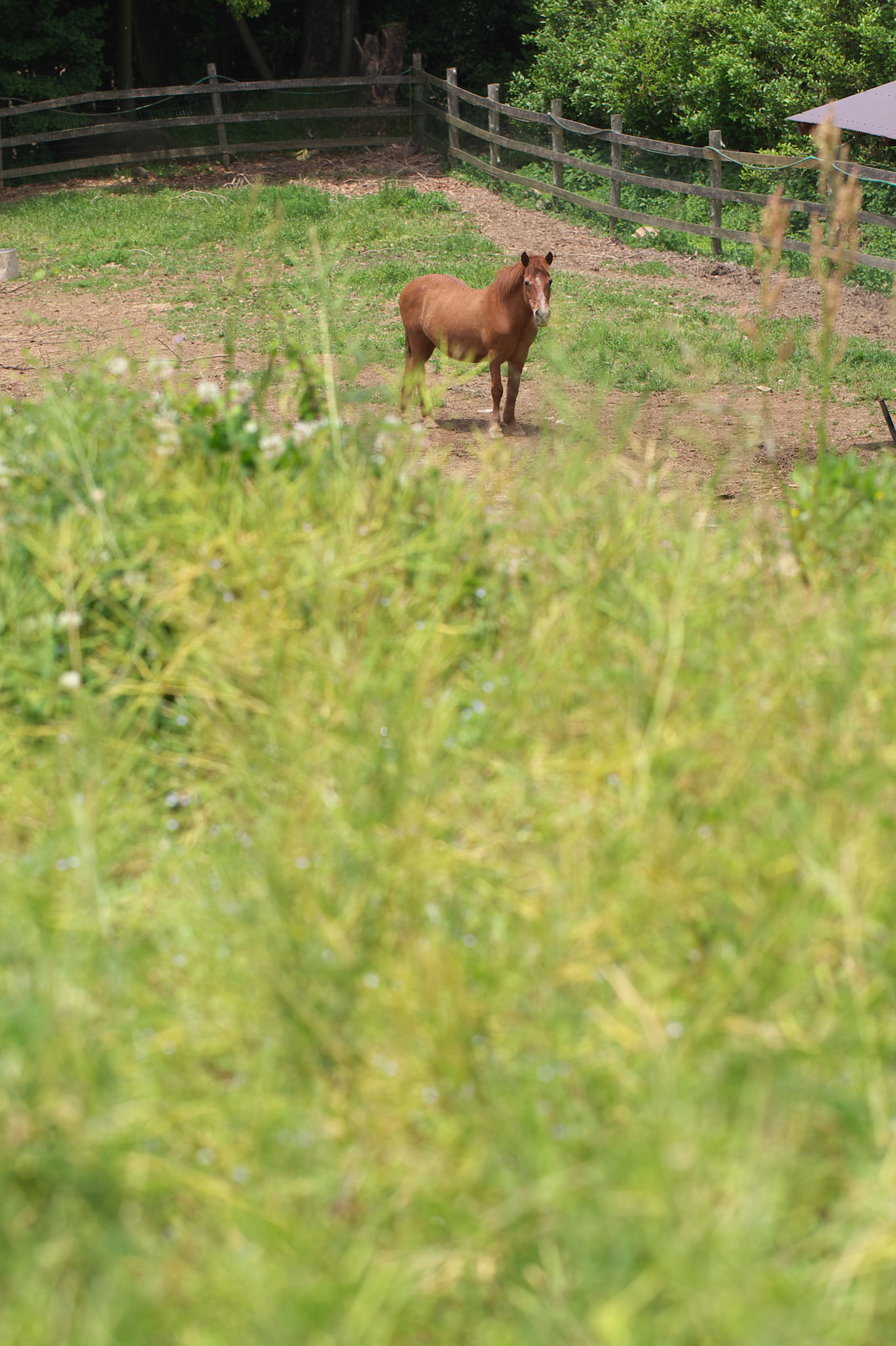 Canon EOS-1D Mark III sample photo. Line of sight photography