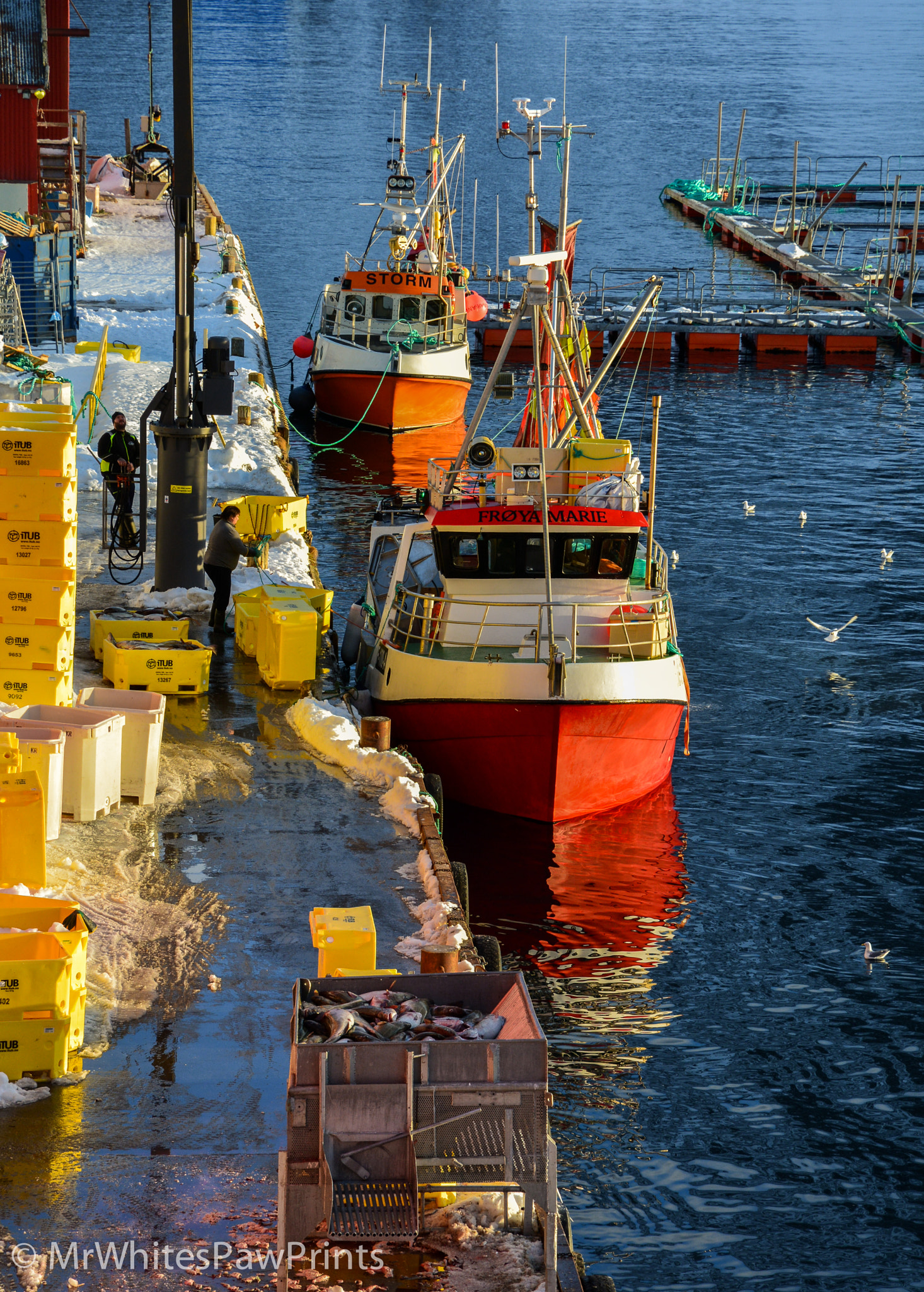 Nikon D7100 + Nikon AF-S DX Nikkor 16-80mm F2.8-4E ED VR sample photo. The day's catch, oksfjord photography