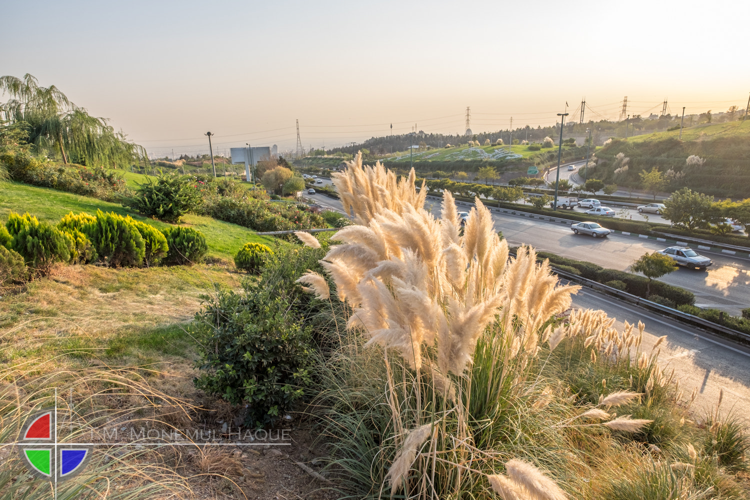Fujifilm XF 10-24mm F4 R OIS sample photo. Park photography
