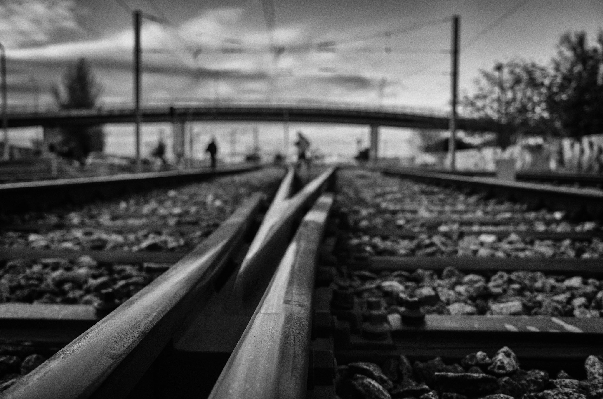 Ricoh GR + GR Lens sample photo. Lines photography