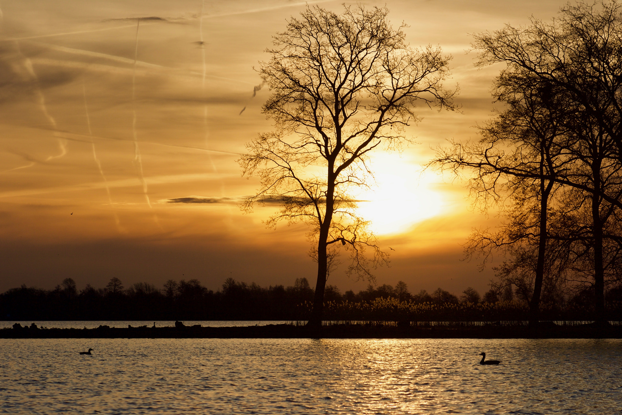 Canon EOS 400D (EOS Digital Rebel XTi / EOS Kiss Digital X) sample photo. Sunrise @ reewijkse plassen photography