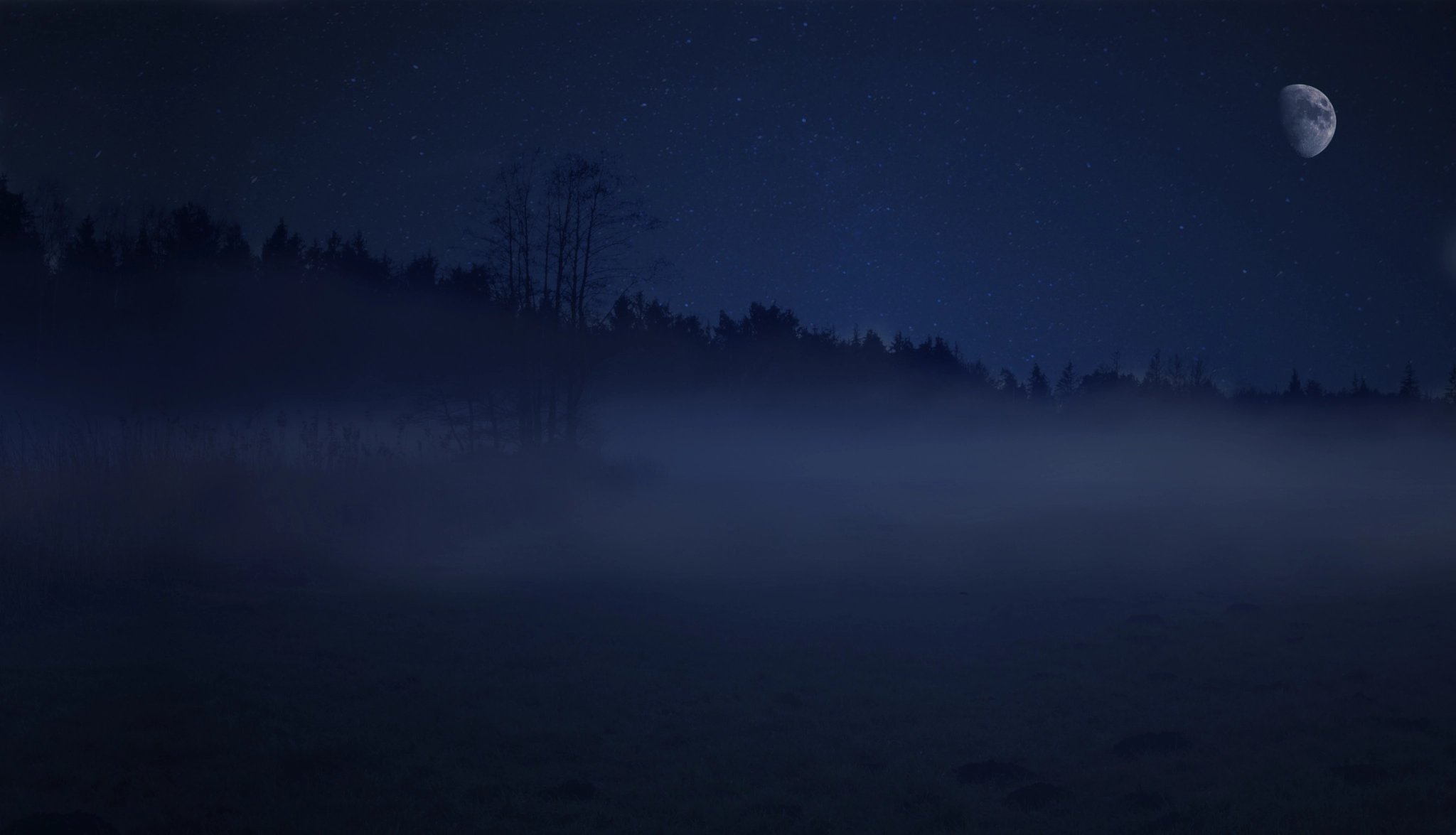 Canon EOS 5D Mark II sample photo. Darkness - black night in the forrest photography