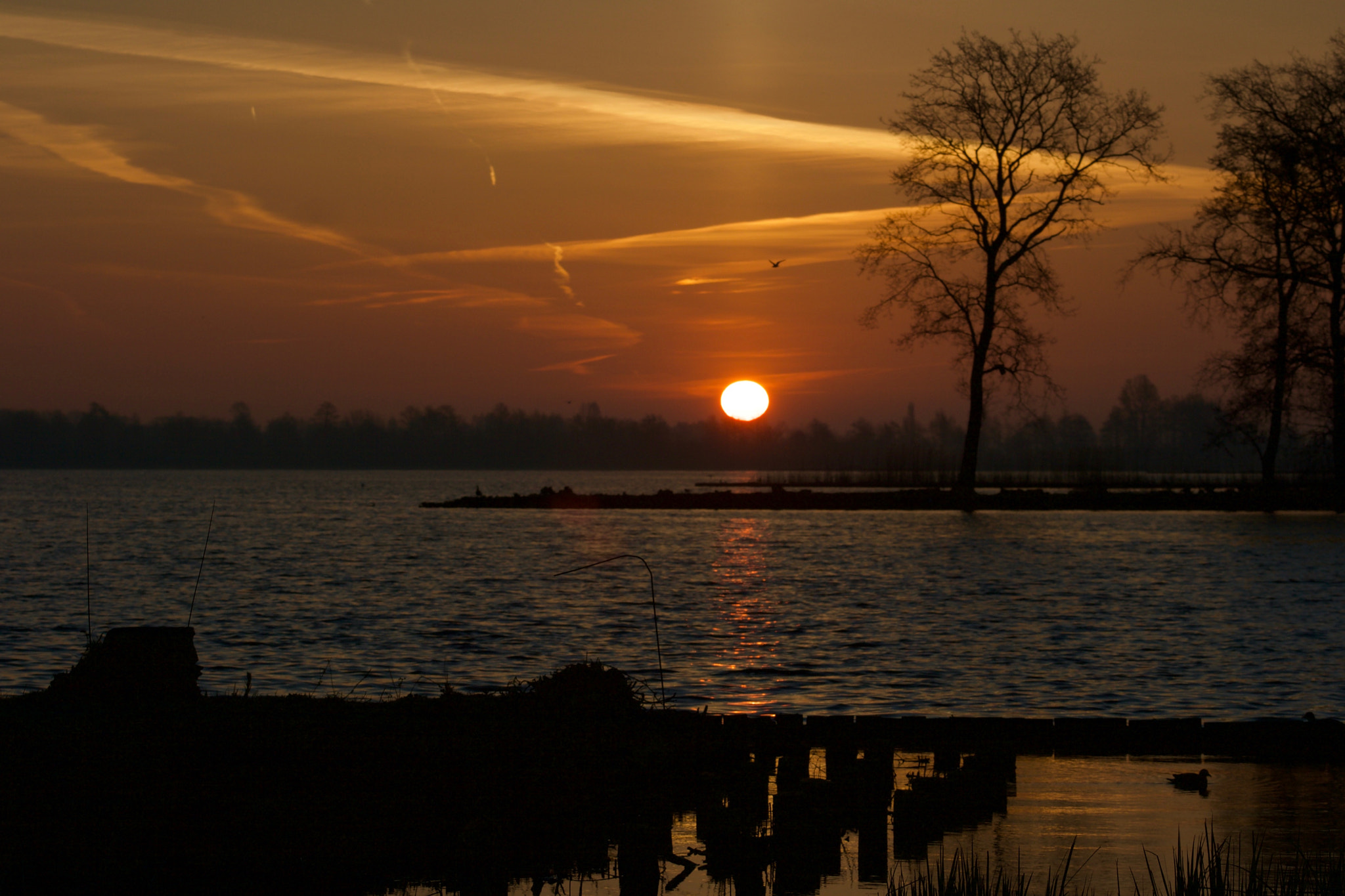 Canon EOS 400D (EOS Digital Rebel XTi / EOS Kiss Digital X) sample photo. Sunrise @ reewijkse plassen photography