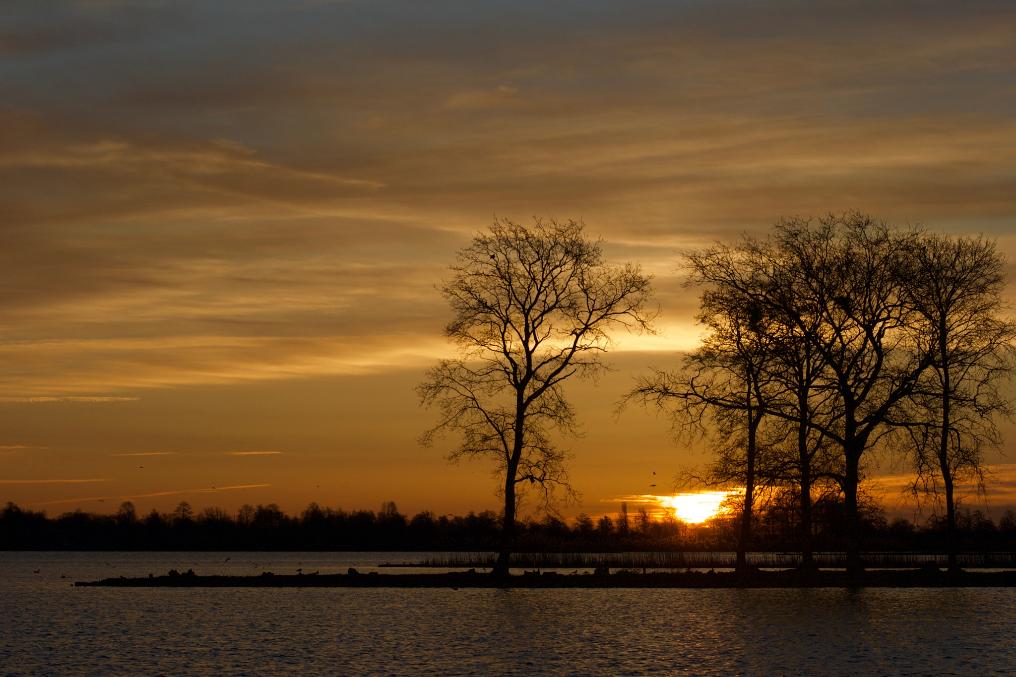 Canon EOS 400D (EOS Digital Rebel XTi / EOS Kiss Digital X) sample photo. Sunrise @ reewijkse plassen photography