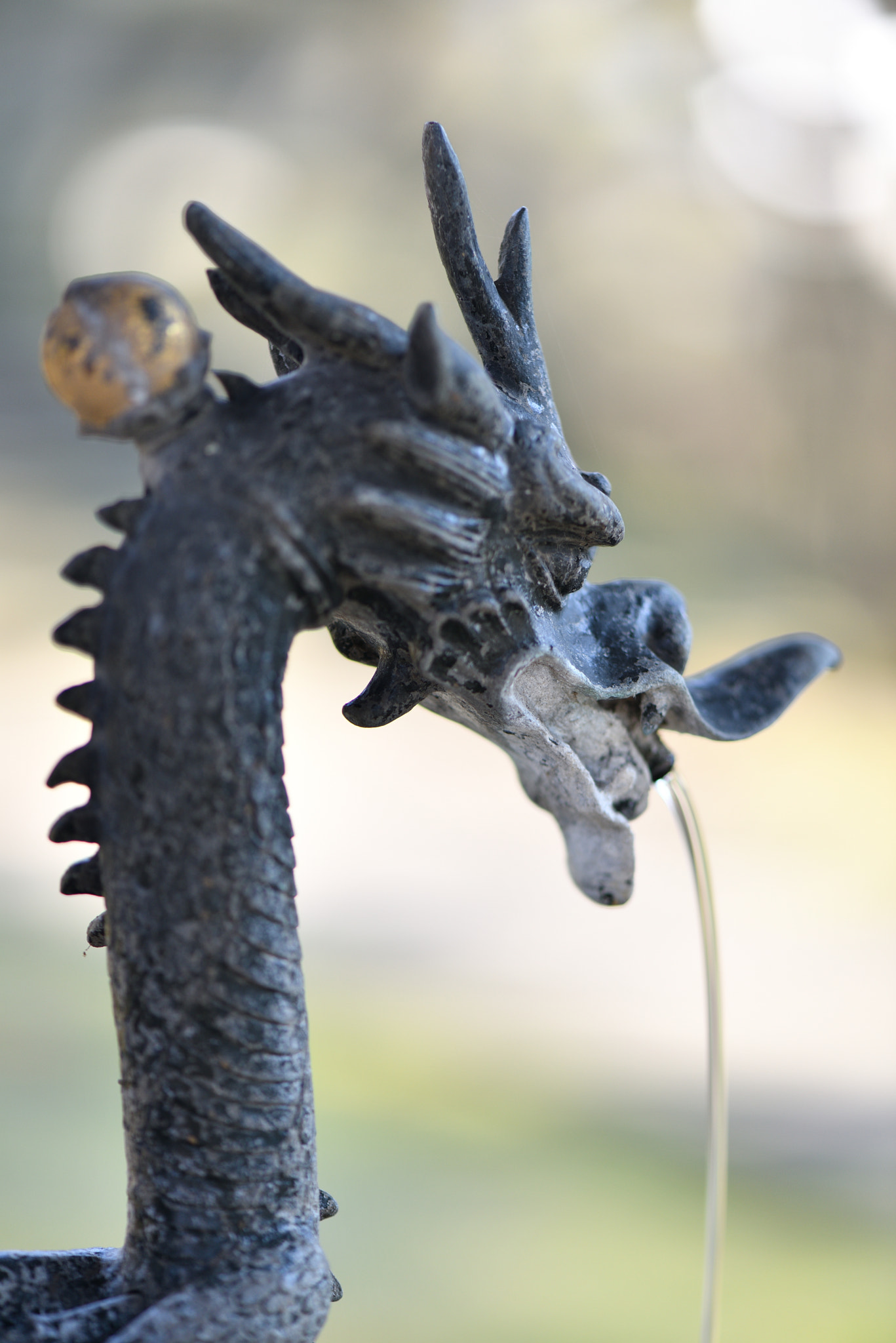 Nikon AF-S Micro-Nikkor 105mm F2.8G IF-ED VR sample photo. 手水舎龍 photography