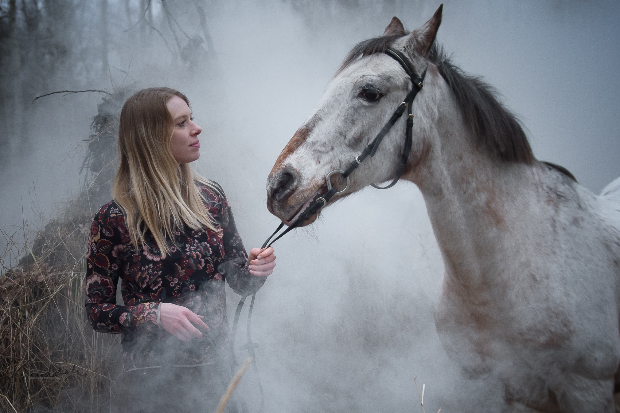Nikon AF-S Nikkor 24-70mm F2.8G ED sample photo. Equine life photography