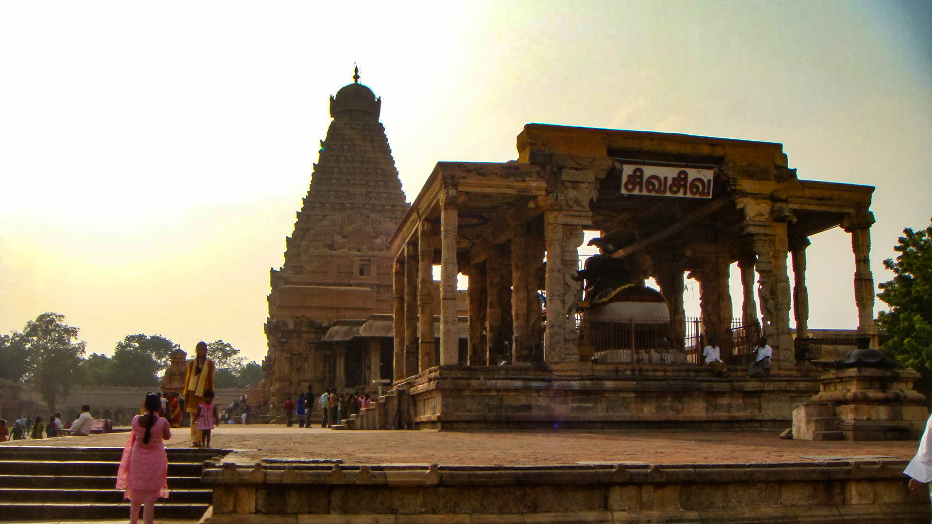 Sony DSC-T200 sample photo. Tanjore photography