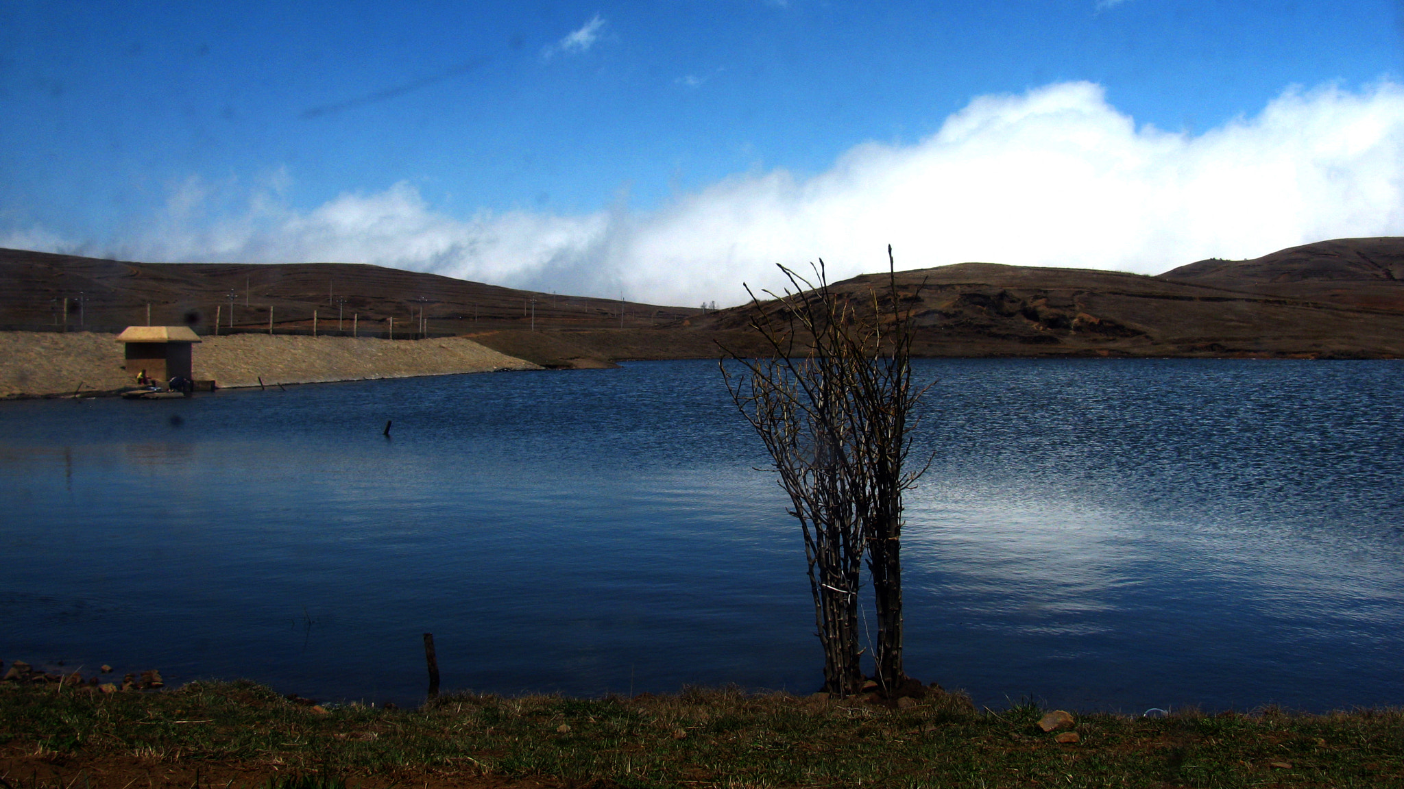 Canon PowerShot SX110 IS sample photo. A tree by lake photography