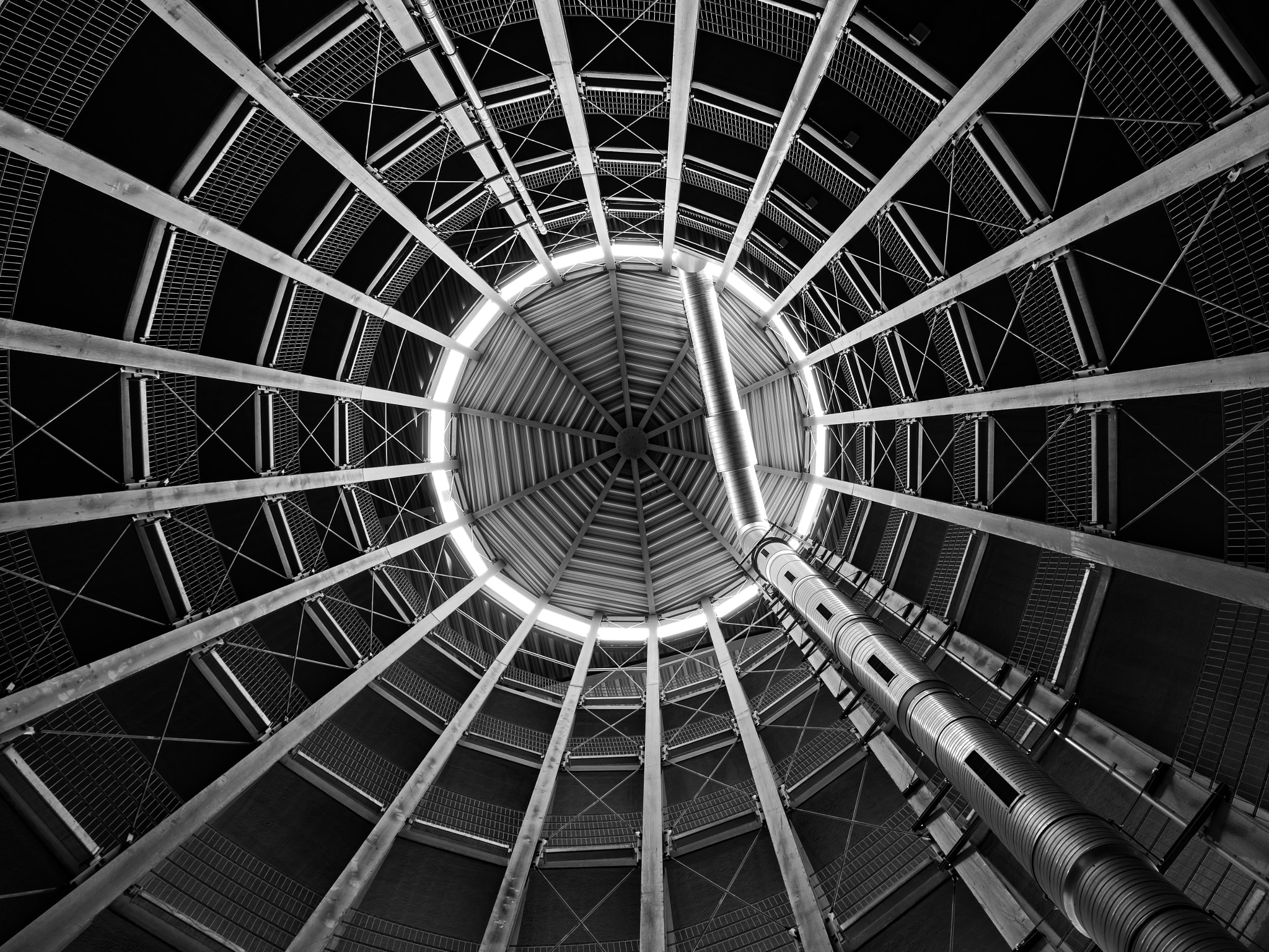 Olympus OM-D E-M1 Mark II + Olympus M.Zuiko Digital ED 12-40mm F2.8 Pro sample photo. The iron spider web photography