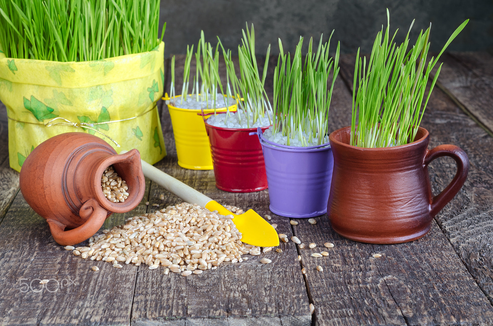 Nikon D7000 + Nikon AF Nikkor 50mm F1.8D sample photo. Seedling grass, grain and tools to take care of them. selective focus. photography
