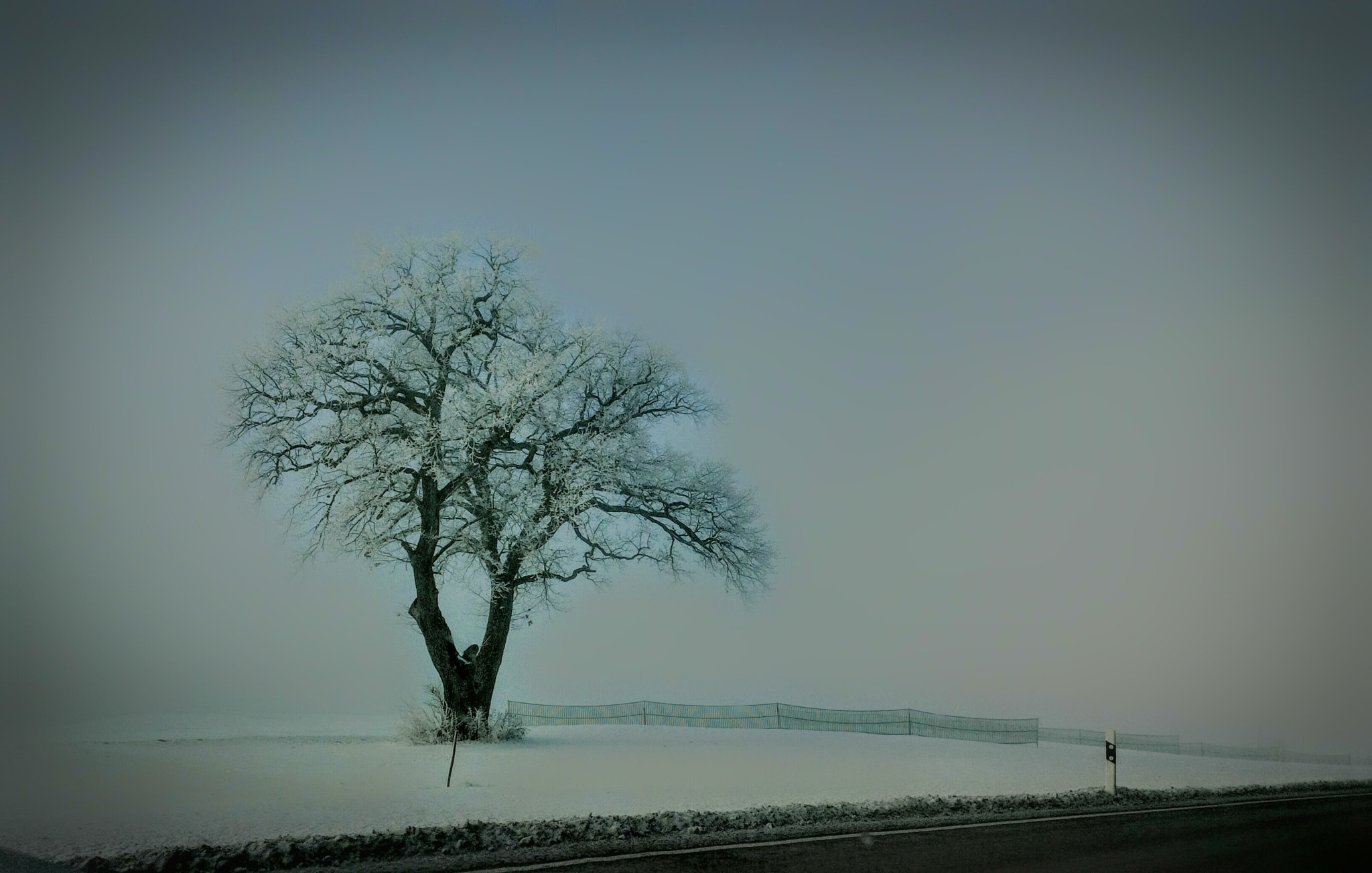BlackBerry Z10 sample photo. Alone... photography