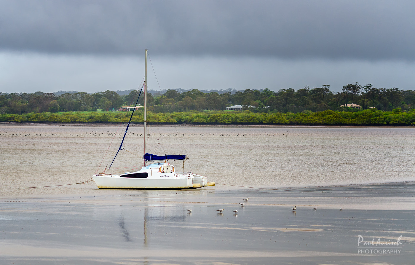 Nikon AF-S Nikkor 70-200mm F4G ED VR sample photo. Cyclone debbie aftermath photography